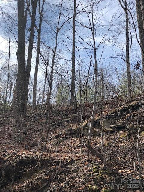 000 Butler Ridge TRL #26, Hendersonville, NC 28792