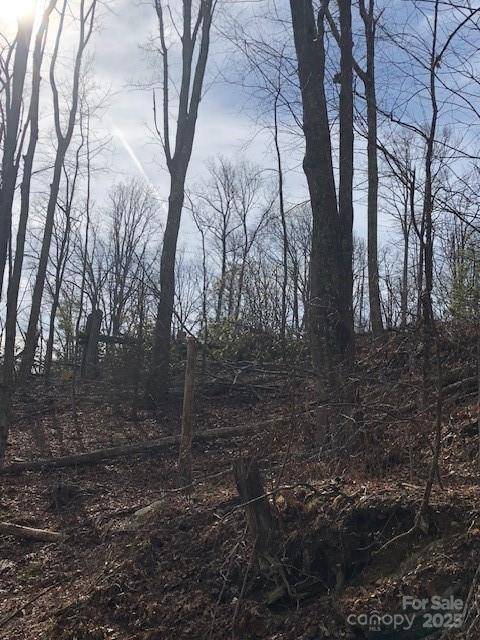 000 Butler Ridge TRL #26, Hendersonville, NC 28792