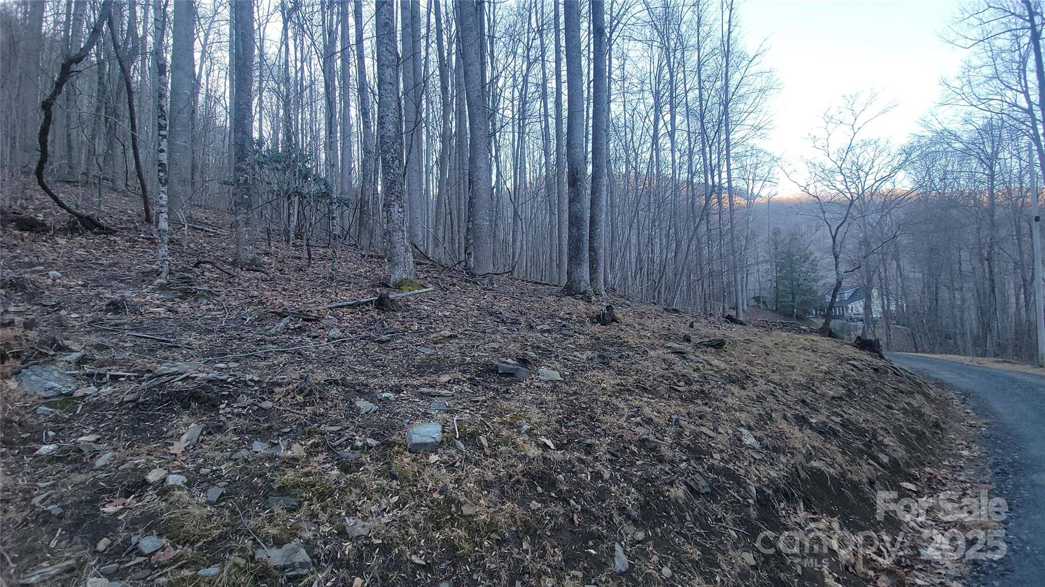 Lot 7B Hickory Springs RD #7B, Burnsville, NC 28714