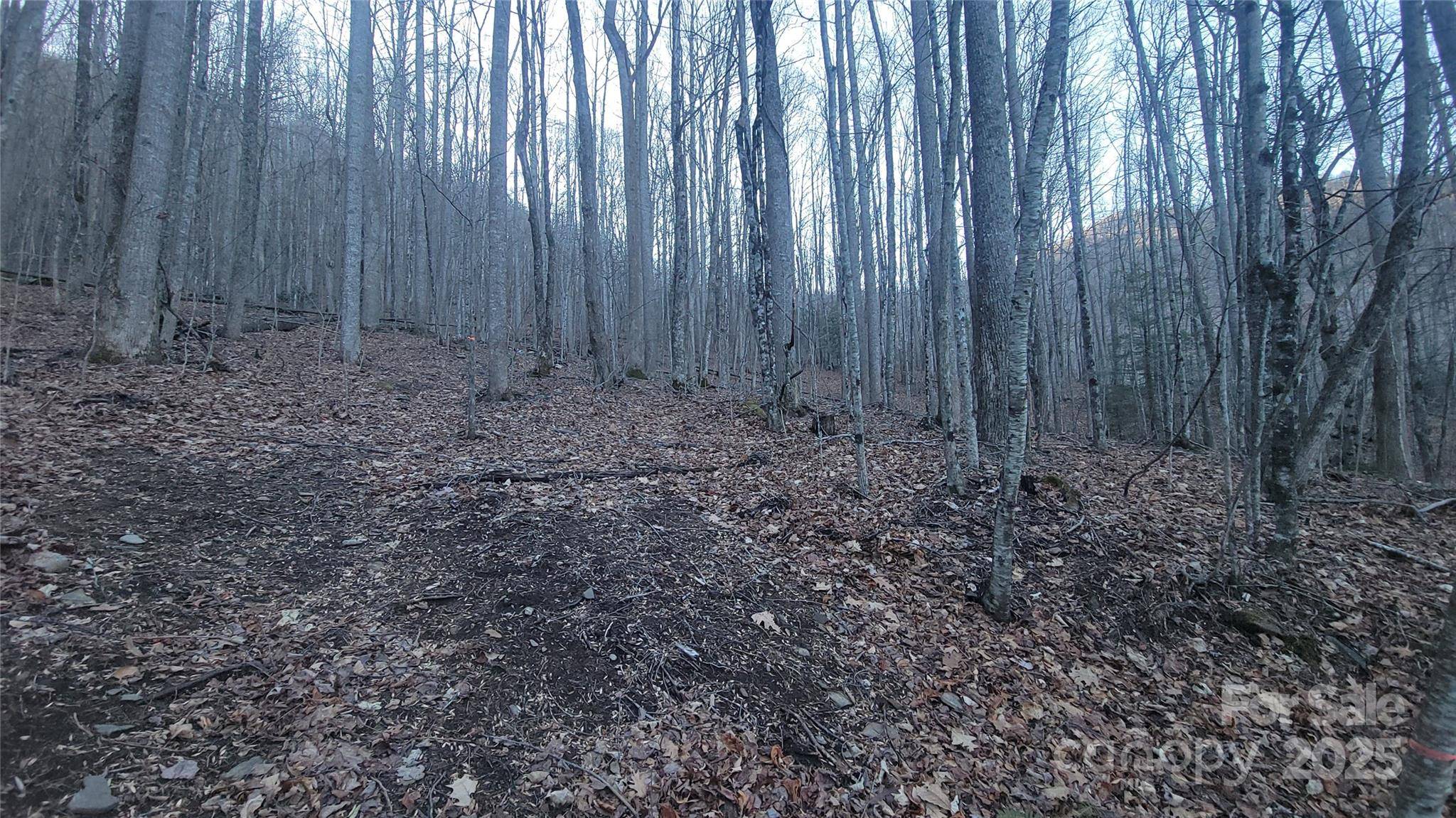 Lot 7B Hickory Springs RD #7B, Burnsville, NC 28714
