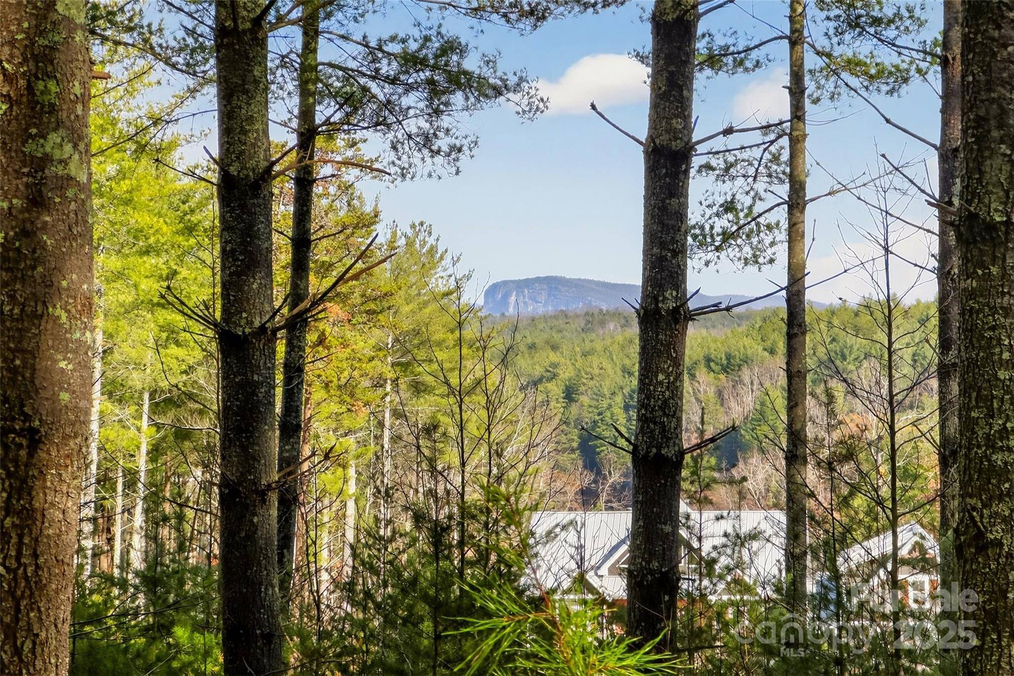 365 Peninsula Reserve RD #25, Nebo, NC 28761