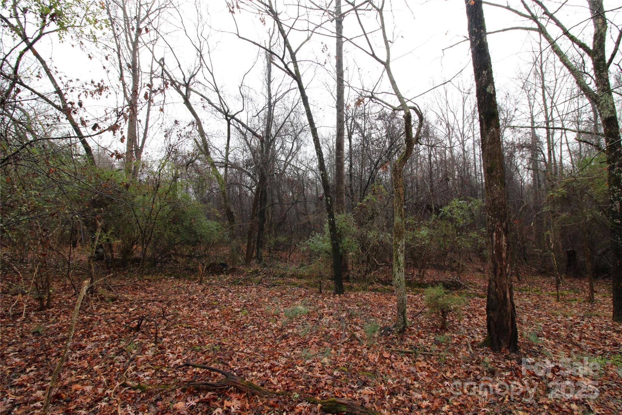 5+/-AC Eaker RD #LOT 1, Bessemer City, NC 28016
