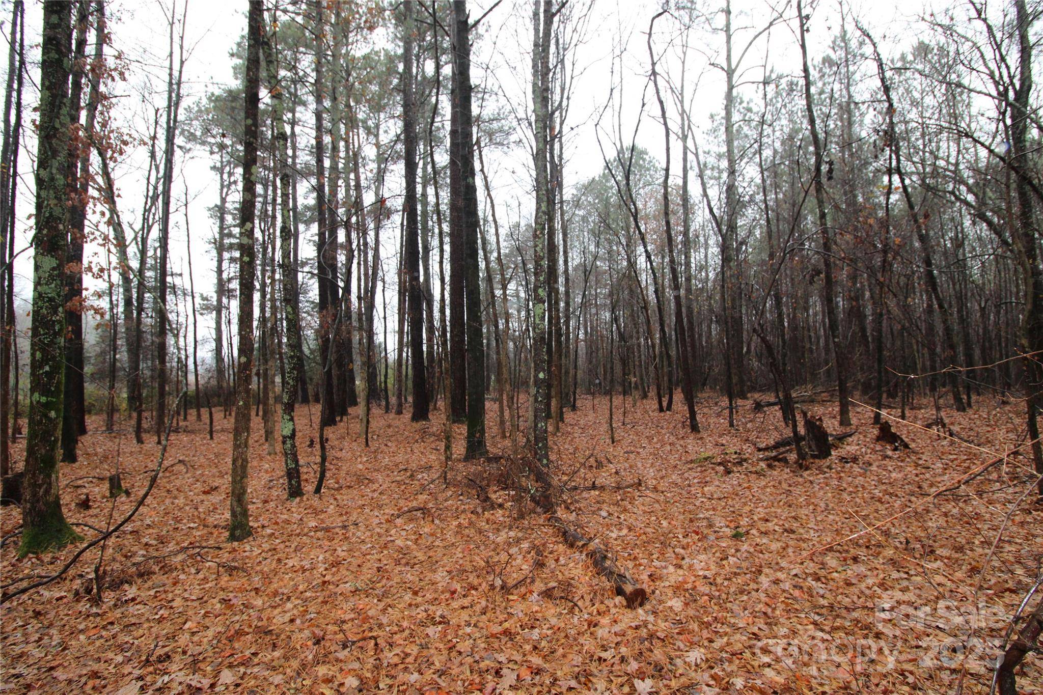 4.78+/-AC Neal RD #LOT 5, Bessemer City, NC 28016