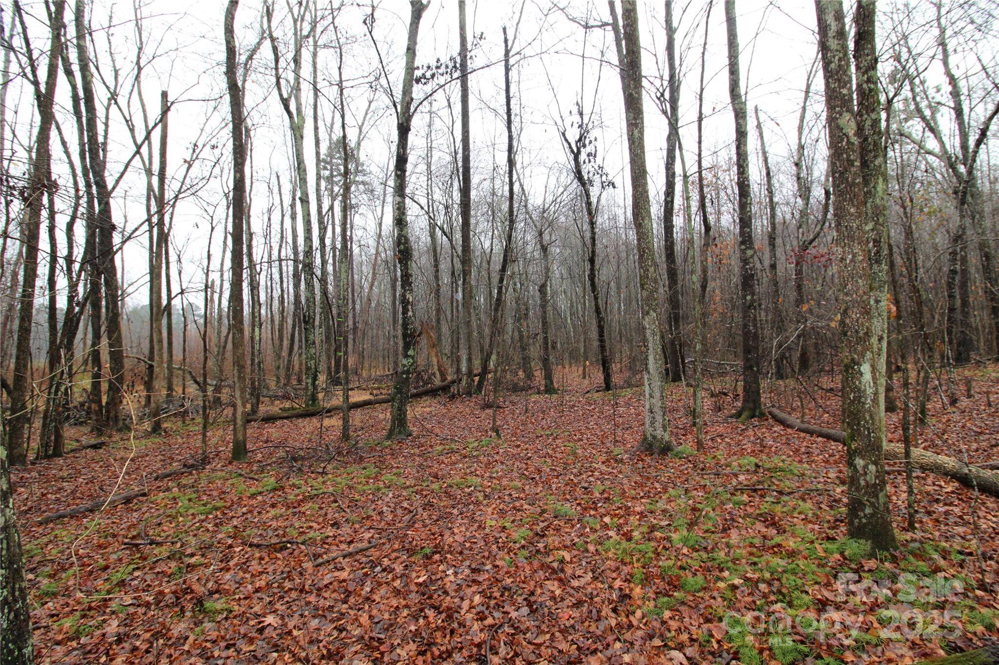 4.63+/-AC Eaker RD #LOT 2, Bessemer City, NC 28016