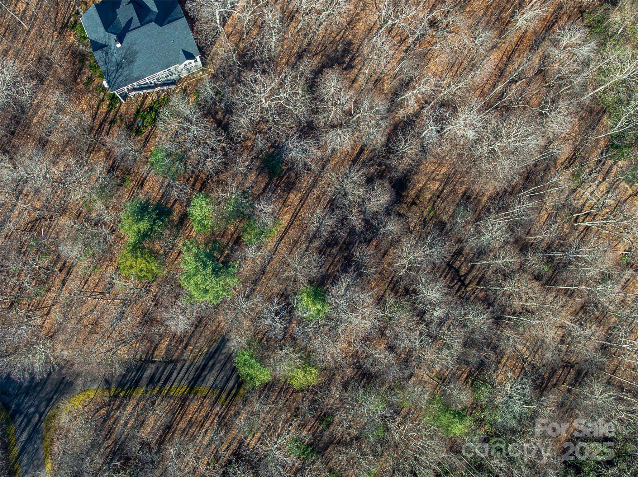 TBD Ladys Fern TRL #10, Laurel Park, NC 28739