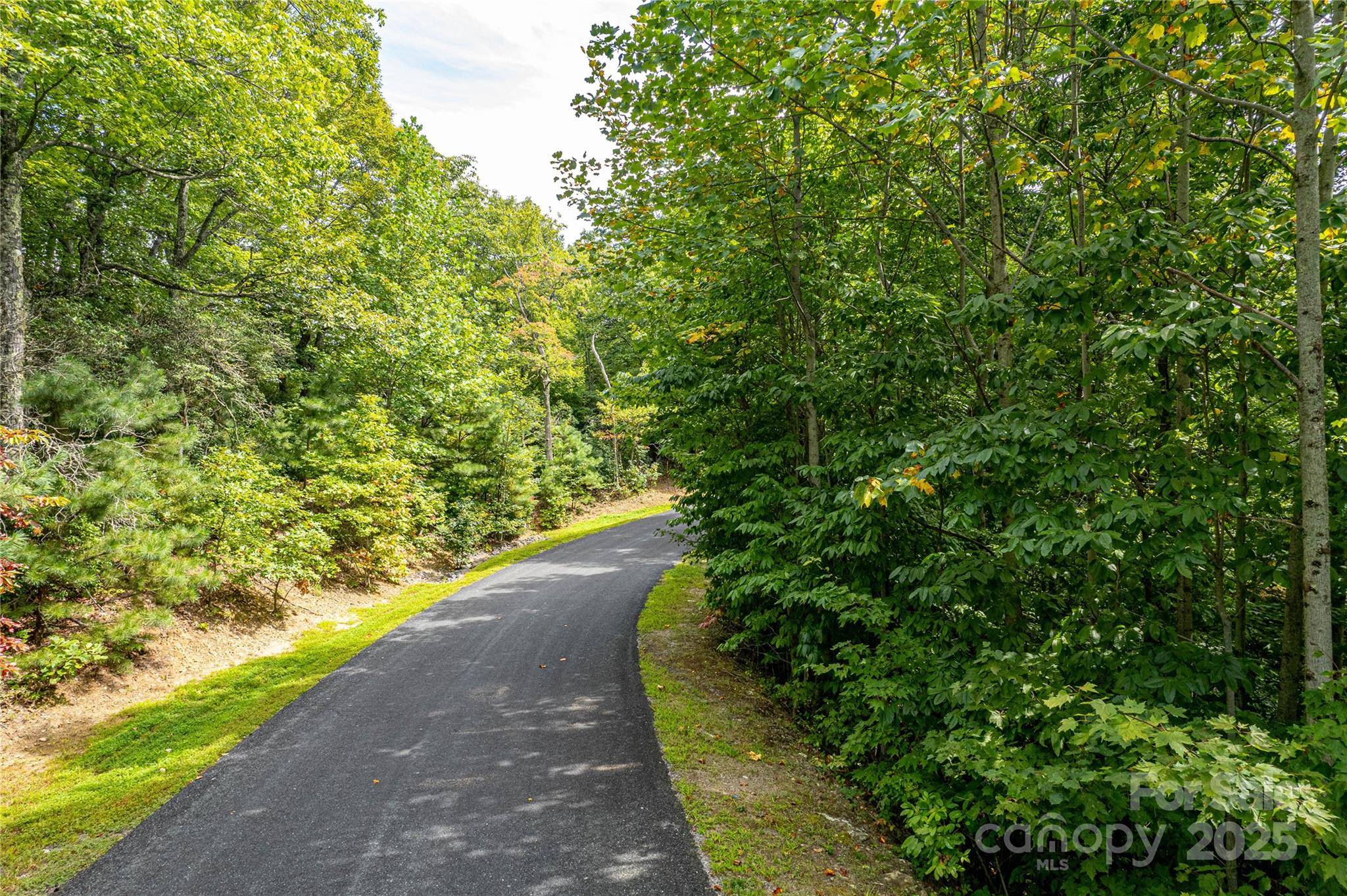 579 Bluemist WAY, Arden, NC 28704