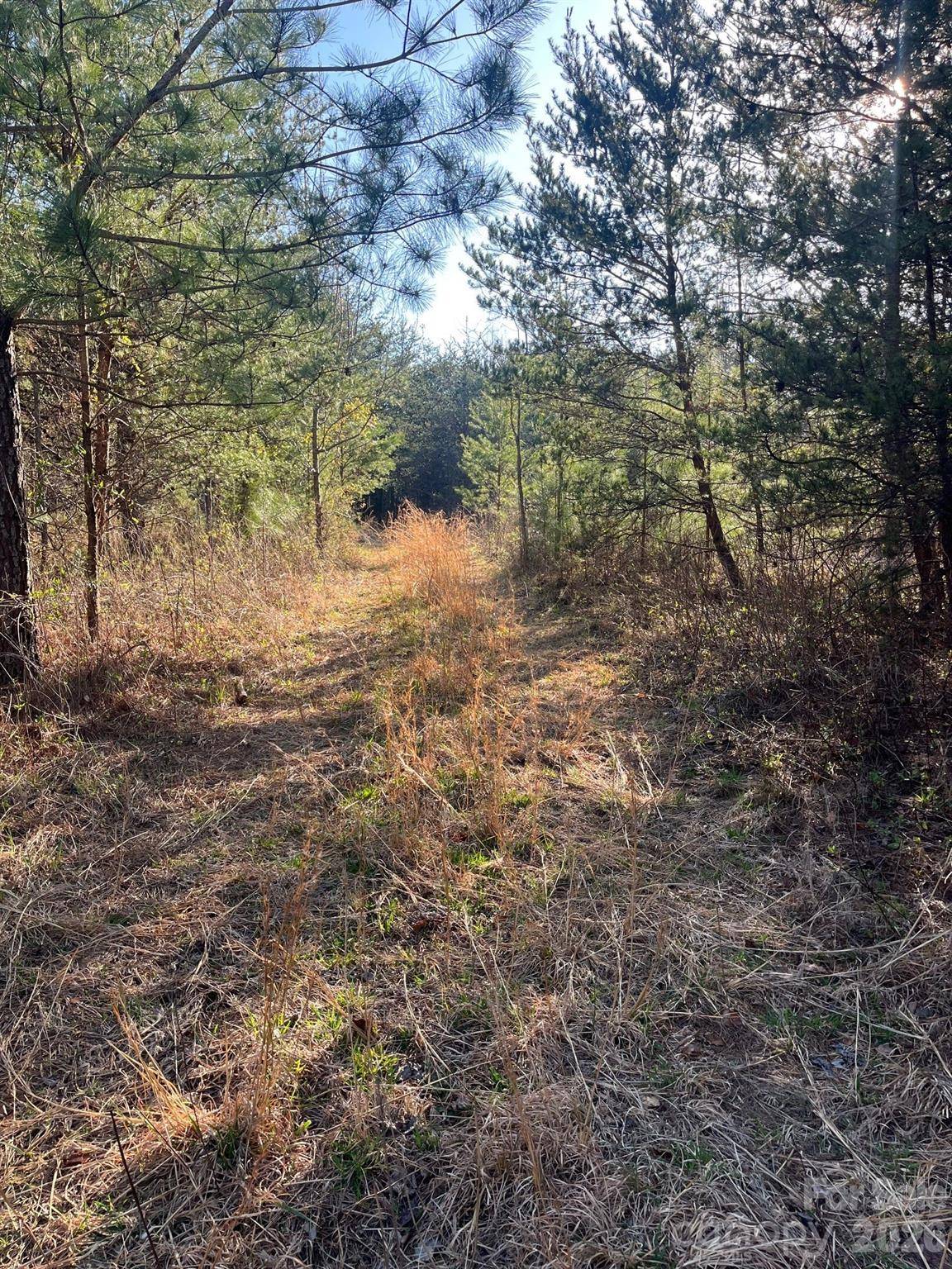 V/L Southern WAY, Nebo, NC 28761