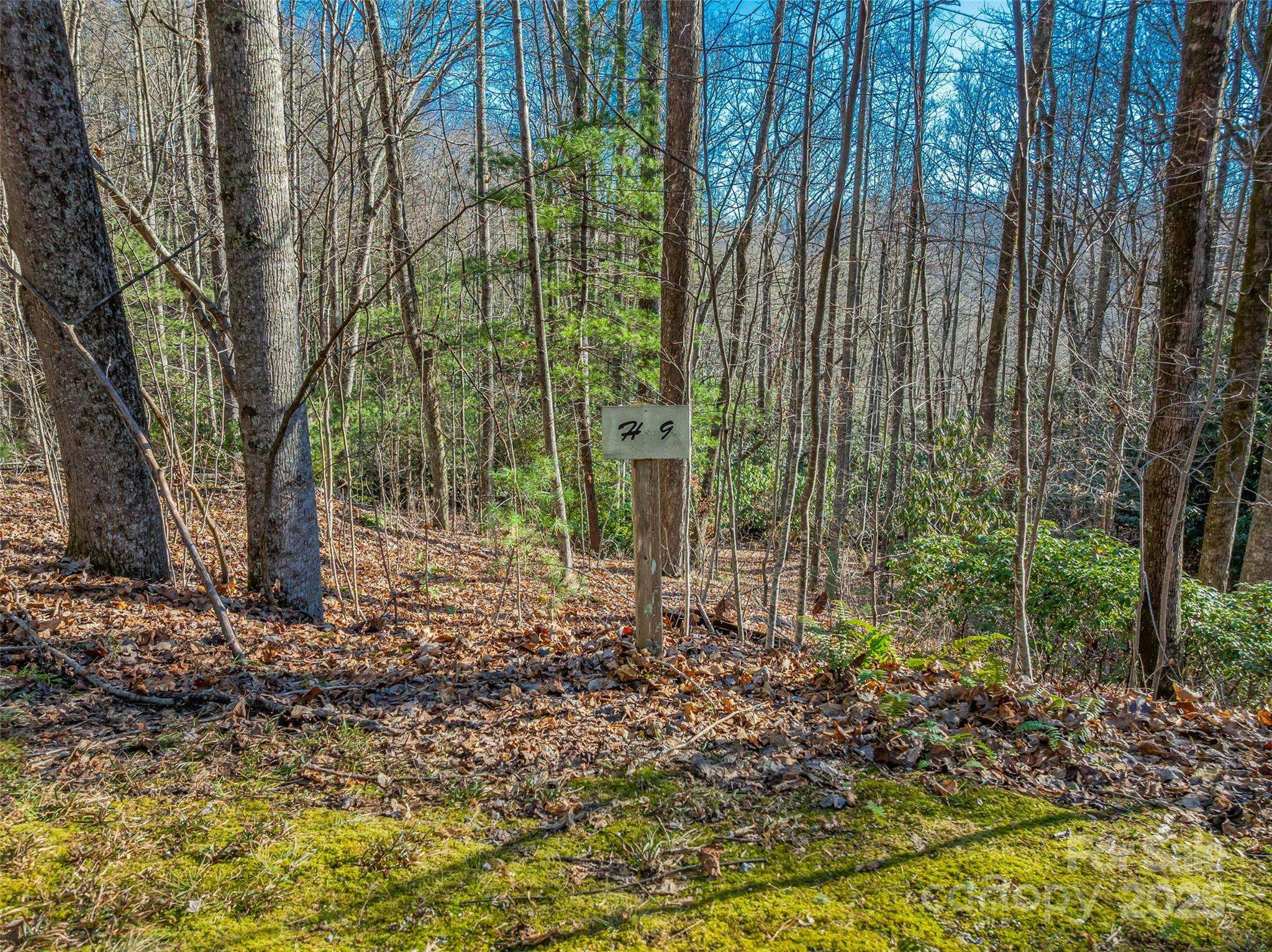 TBD Ladys Fern TRL #9, Laurel Park, NC 28739