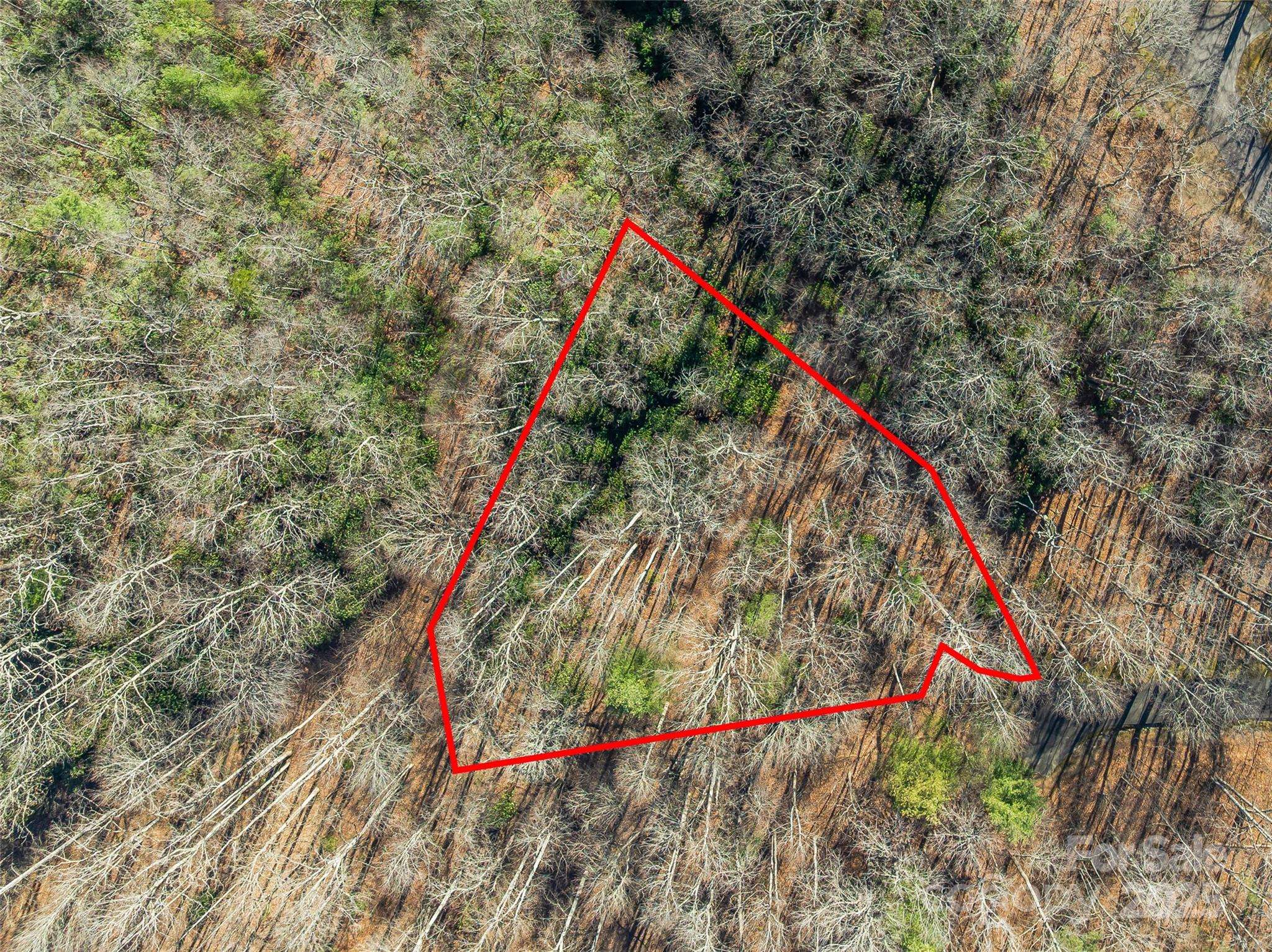 TBD Ladys Fern TRL #9, Laurel Park, NC 28739