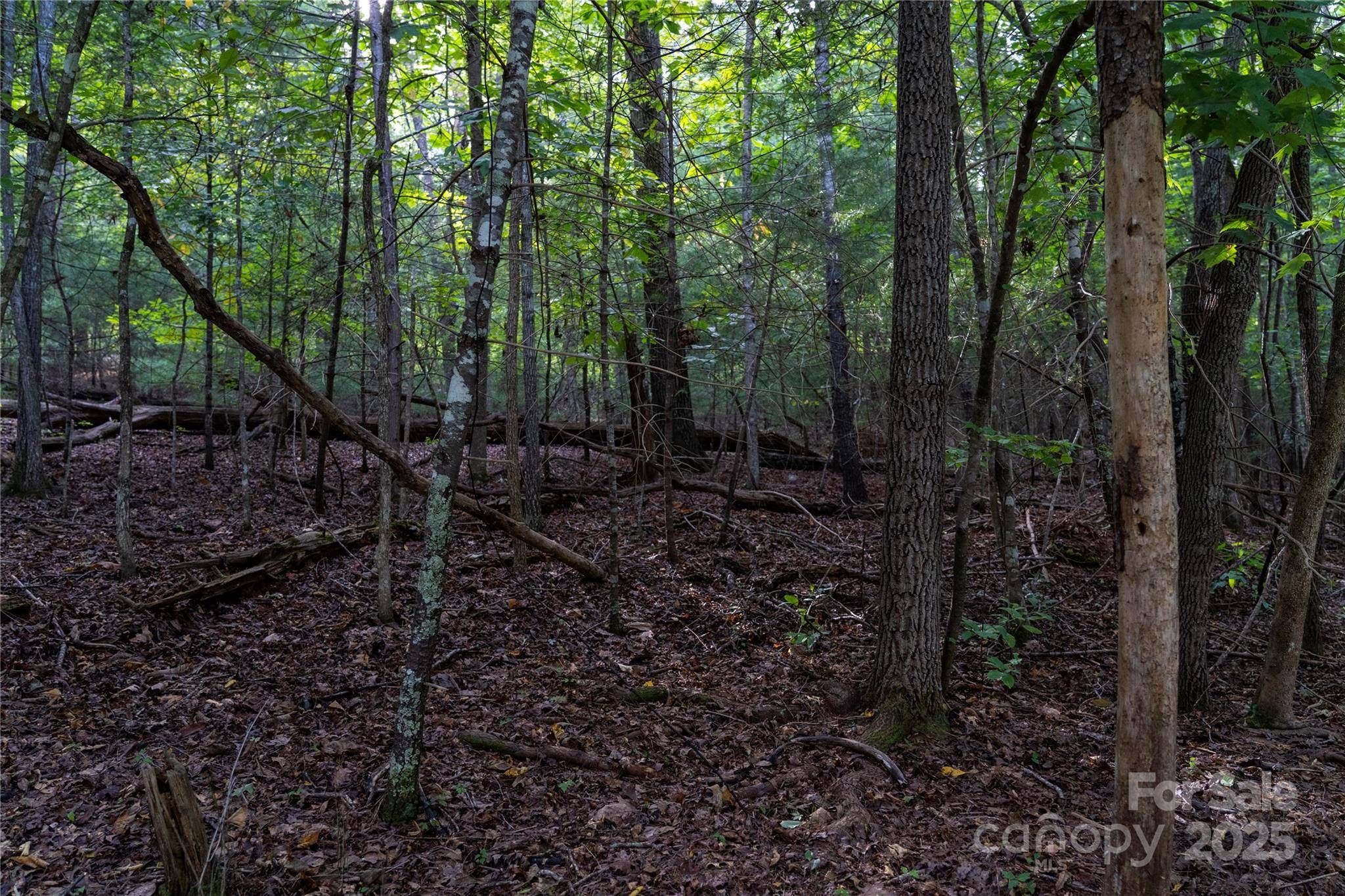 0 Swans WAY E #249&250, Lake Lure, NC 28746