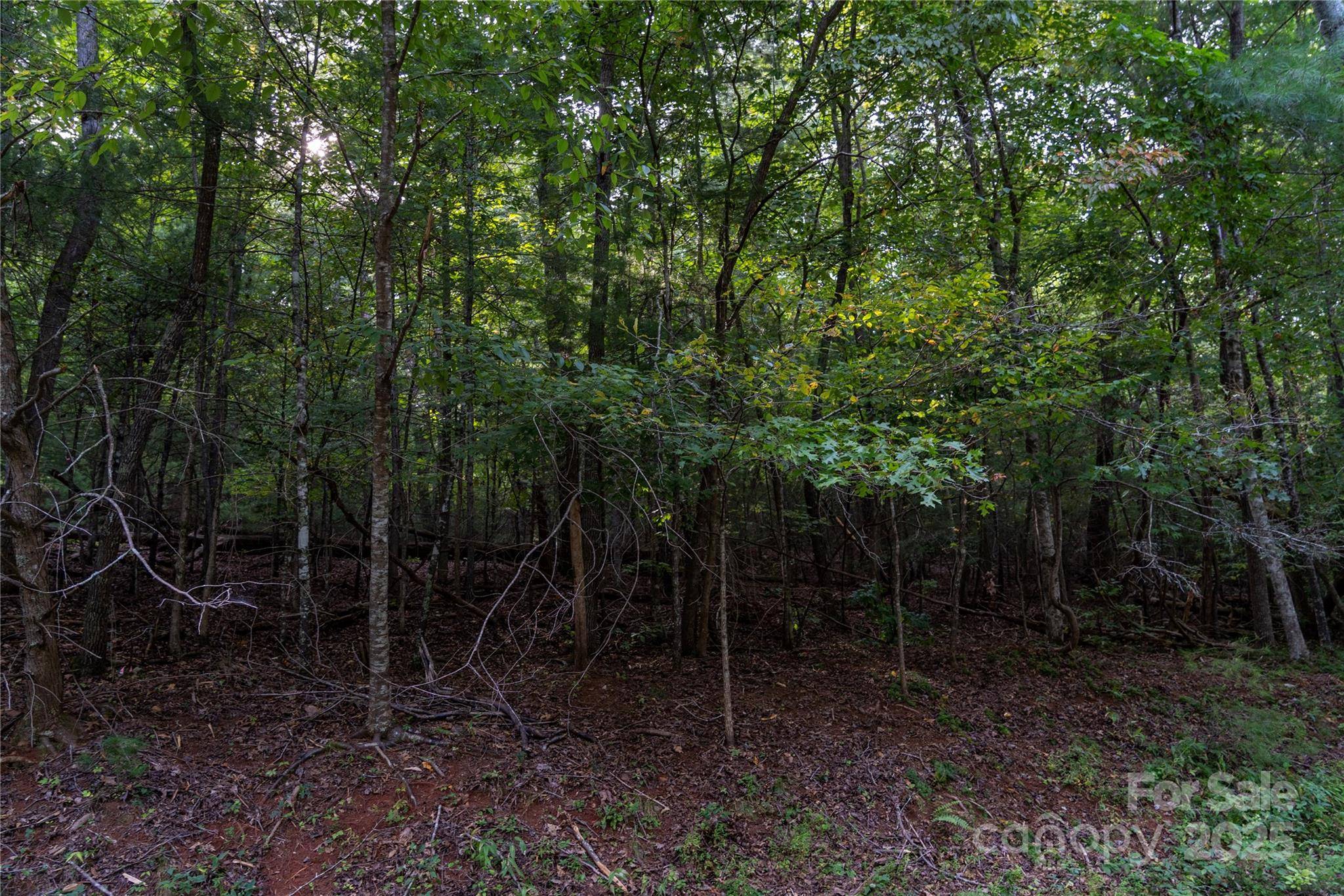 0 Swans WAY E #249&250, Lake Lure, NC 28746