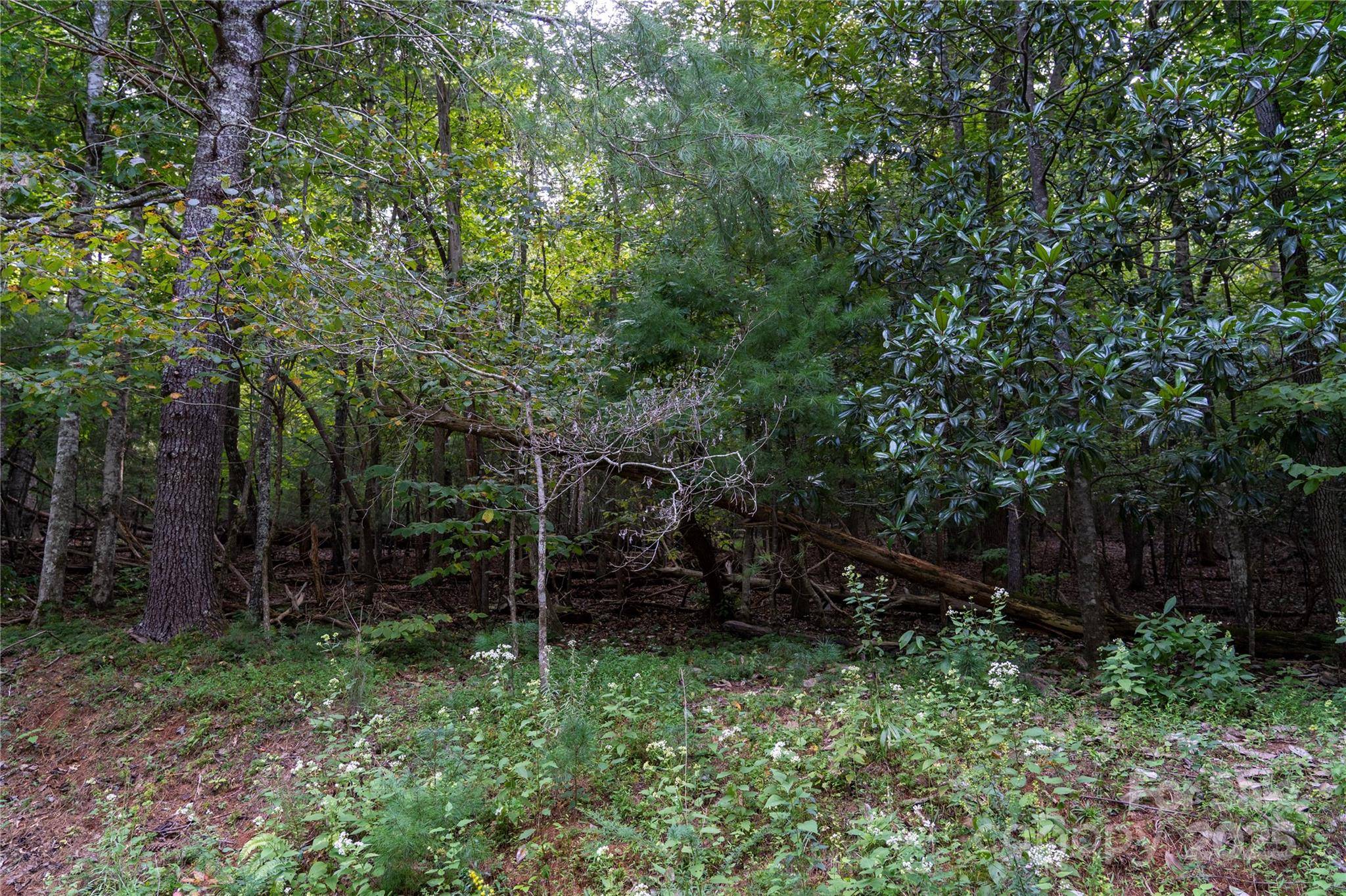 0 Swans WAY E #249&250, Lake Lure, NC 28746