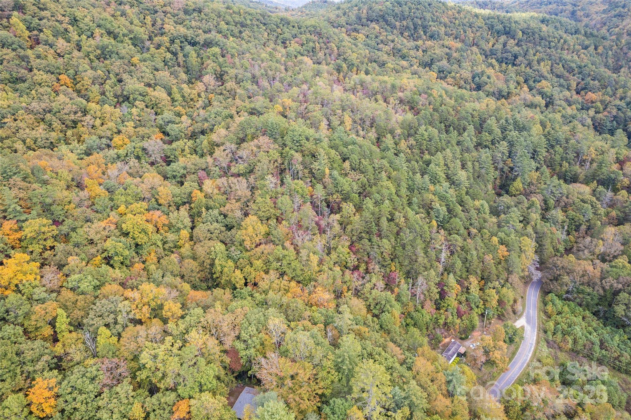 99999 Chastain RD, Scaly Mountain, NC 28775