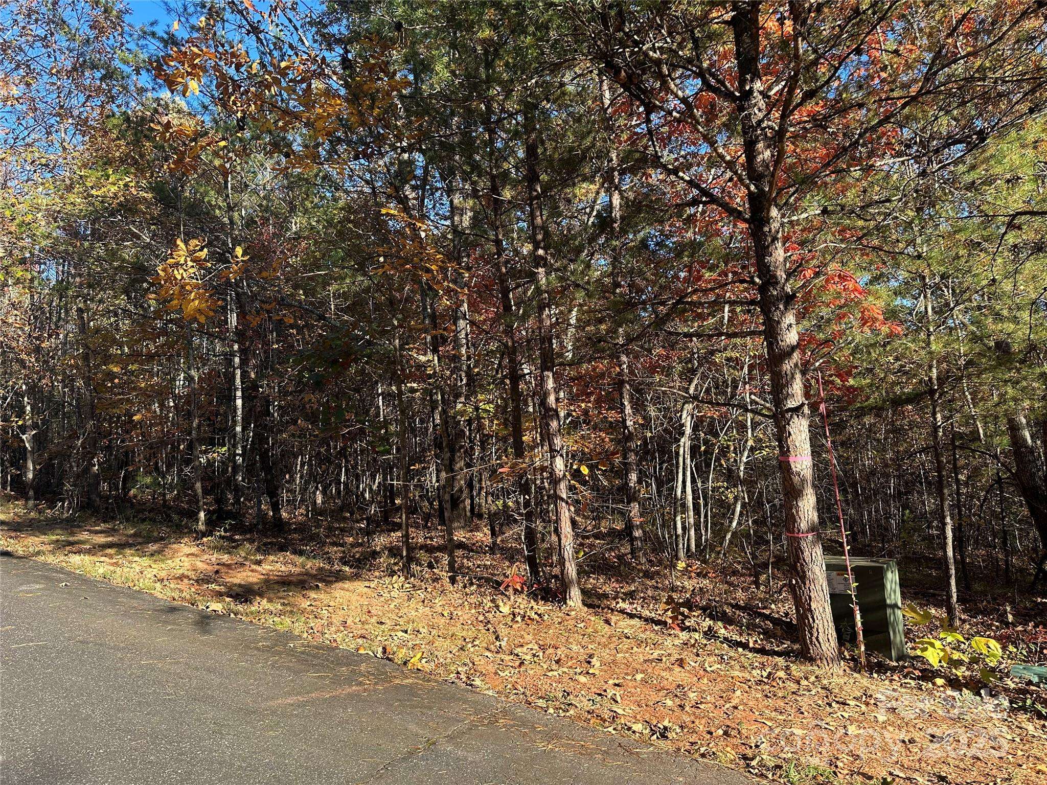 0 Rock Ledge DR #339, Lake Lure, NC 28746