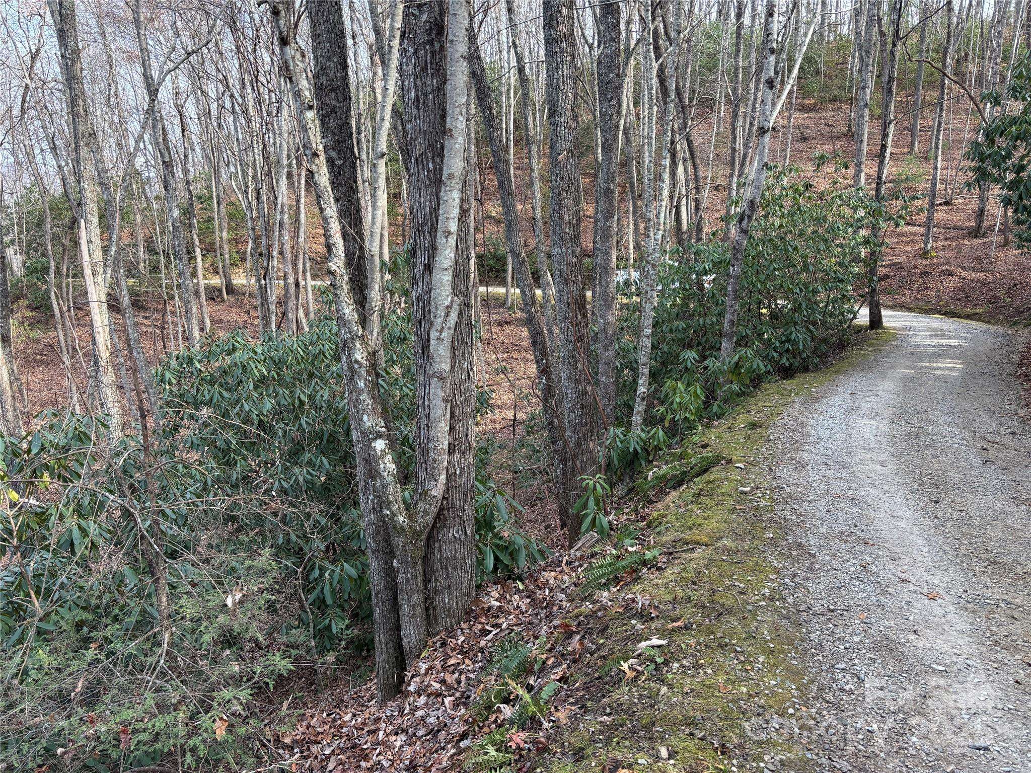 Lot 5 Mt Tabor RD, Topton, NC 28781