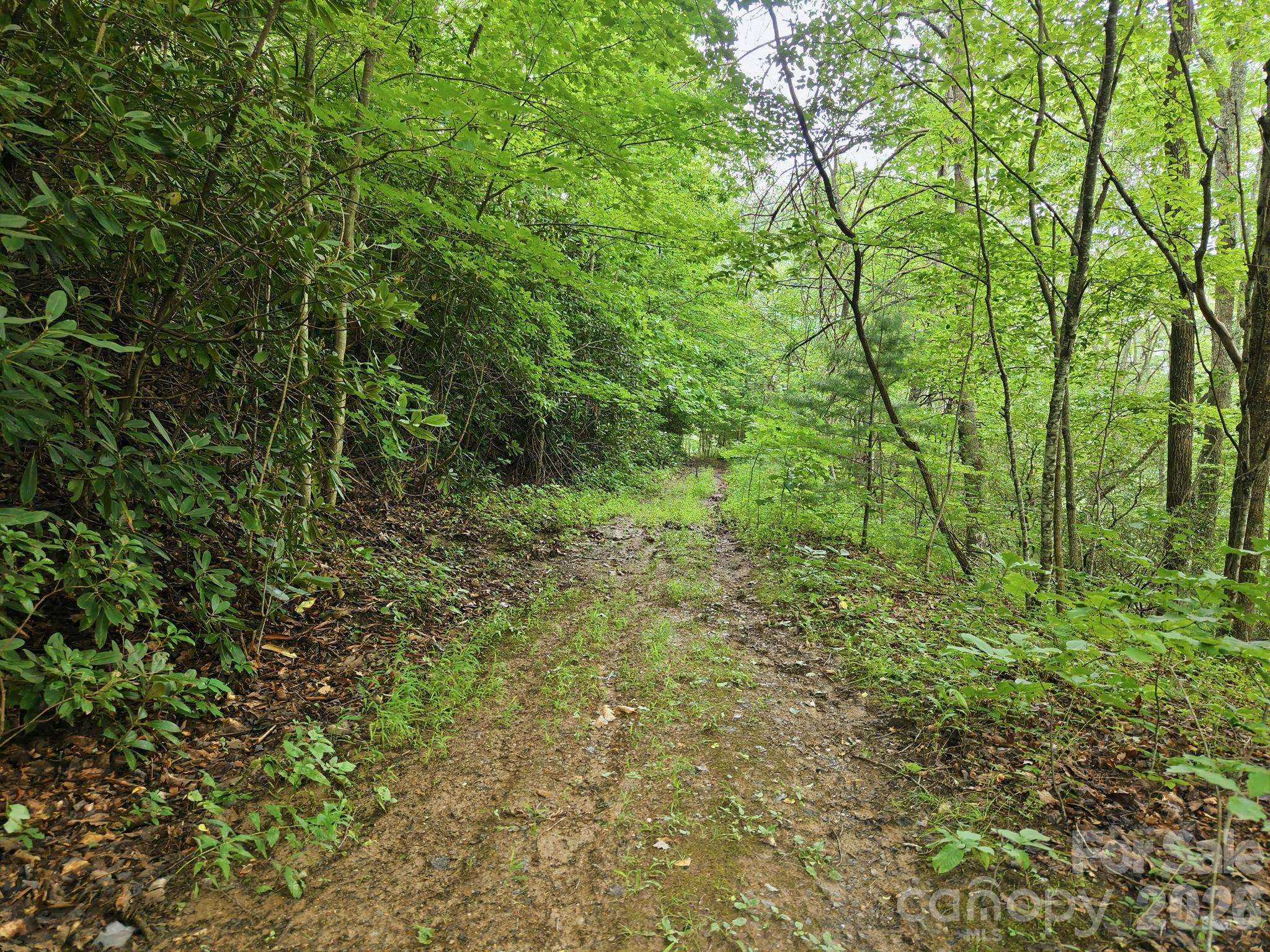 00 Seasons DR #Lot 43, Clyde, NC 28721