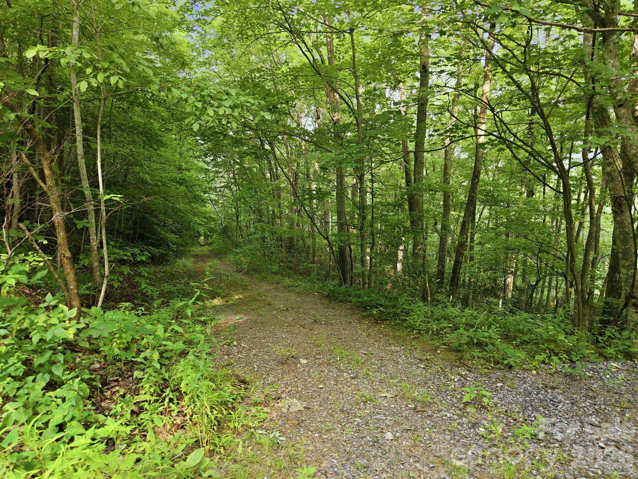 00 Seasons DR #Lot 43, Clyde, NC 28721