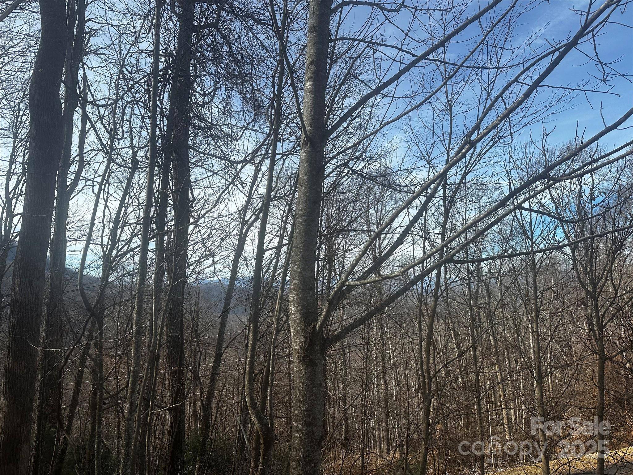 0 Wild Turkey RD #21, Bakersville, NC 28705