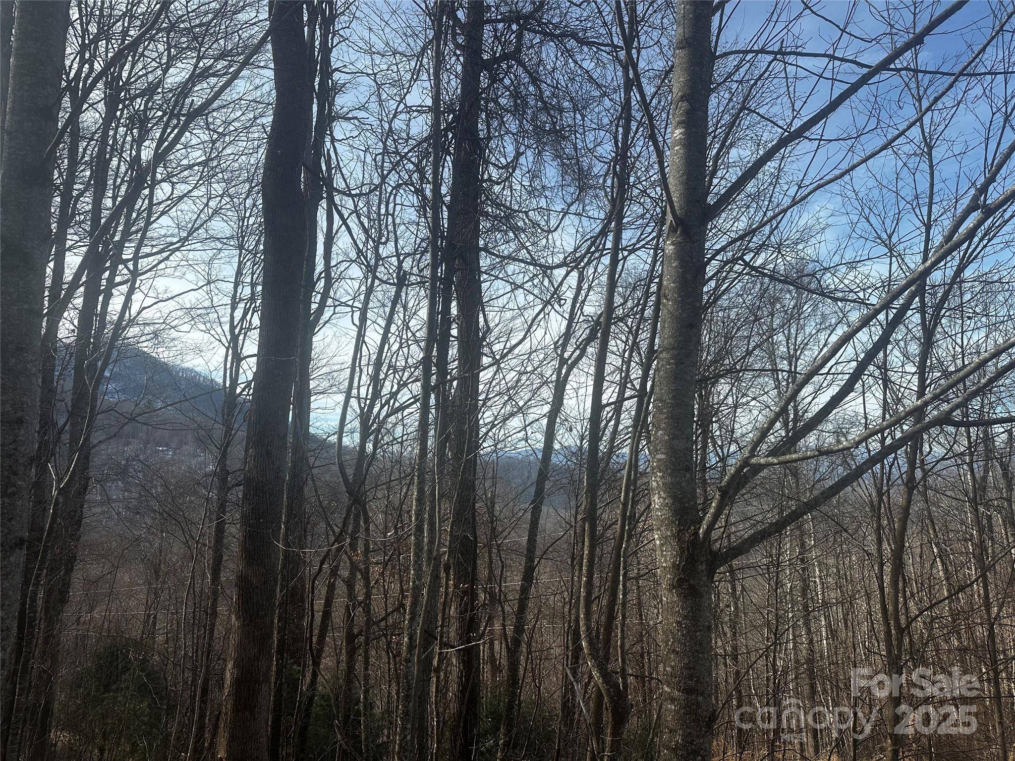 0 Wild Turkey RD #21, Bakersville, NC 28705
