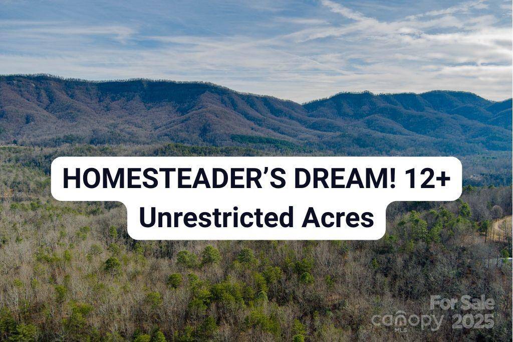 00 Jarrell LOOP, Old Fort, NC 28762