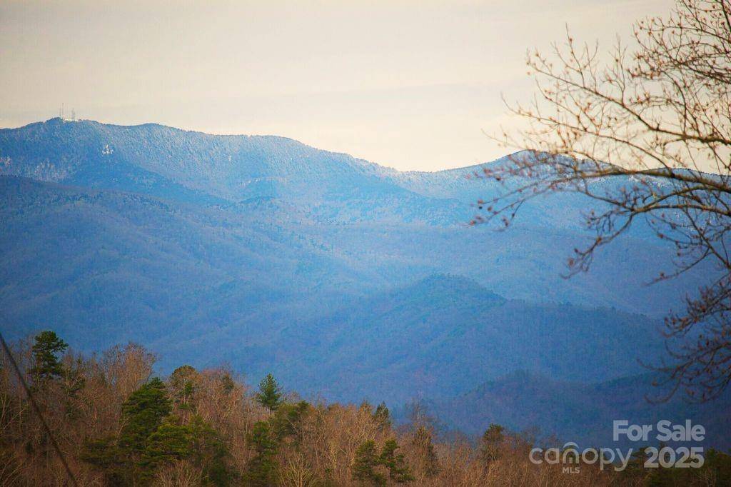 00 Jarrell LOOP, Old Fort, NC 28762