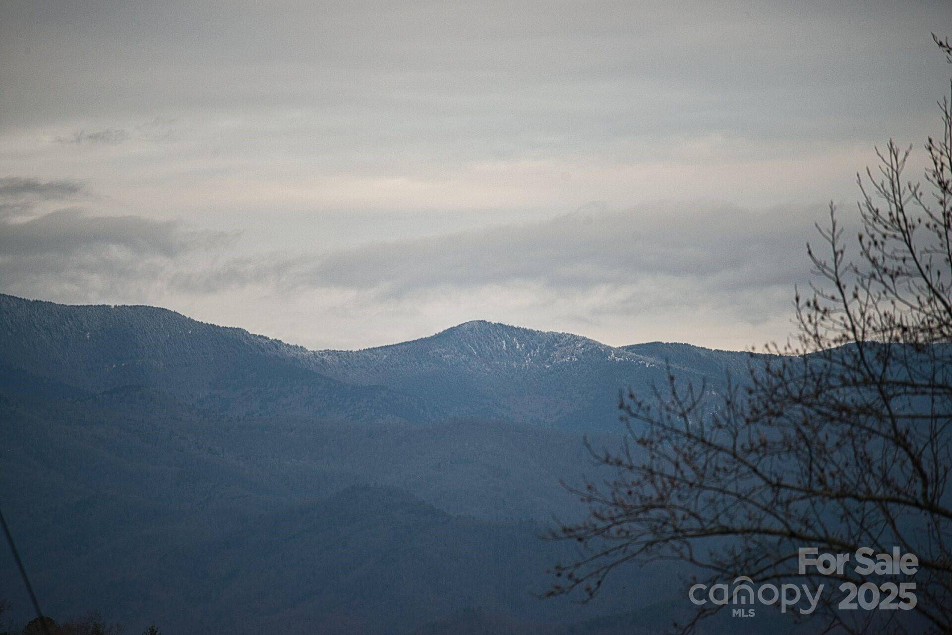 00 Jarrell LOOP, Old Fort, NC 28762