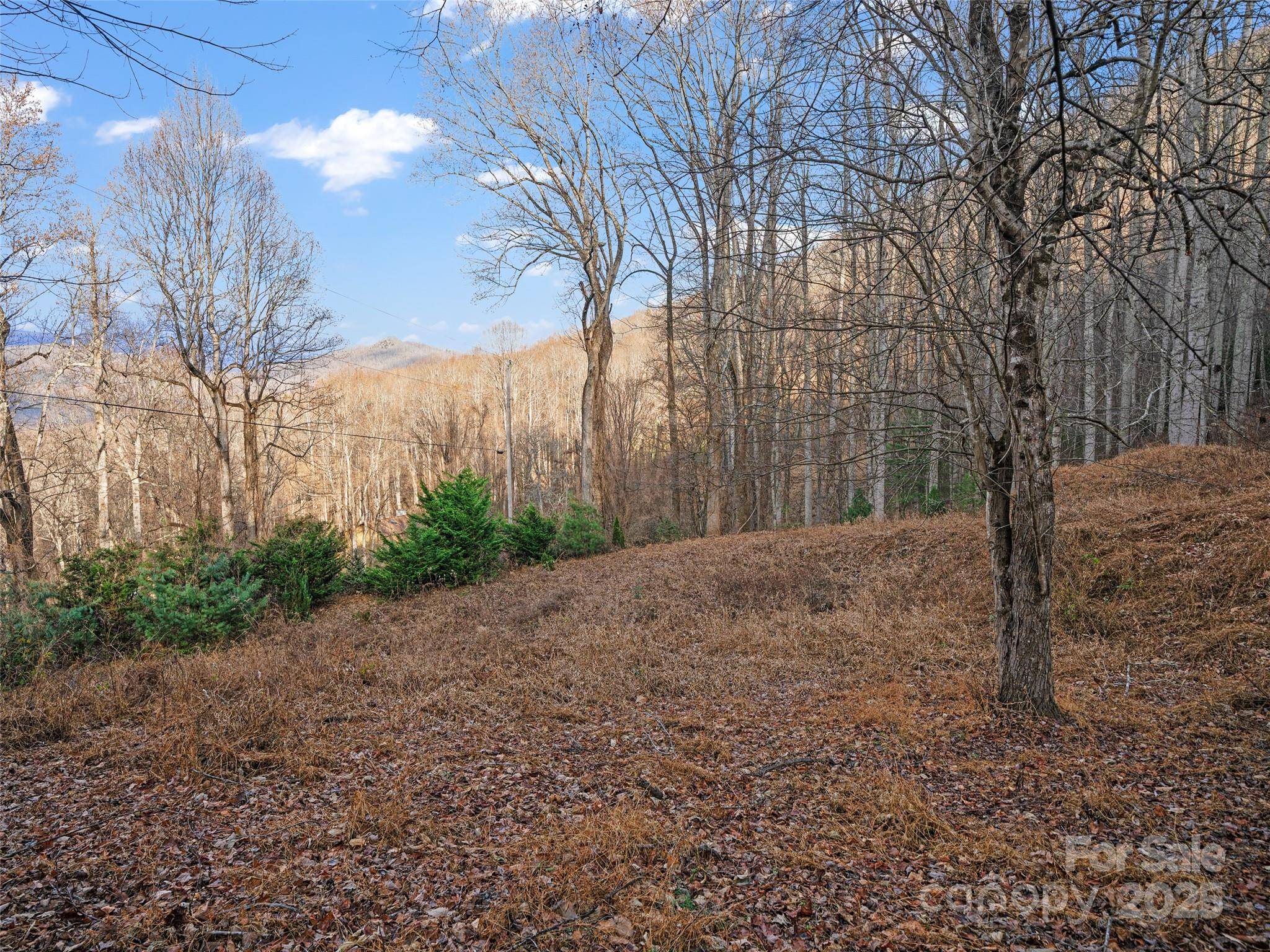 99999 Flora Rose TRL, Asheville, NC 28803