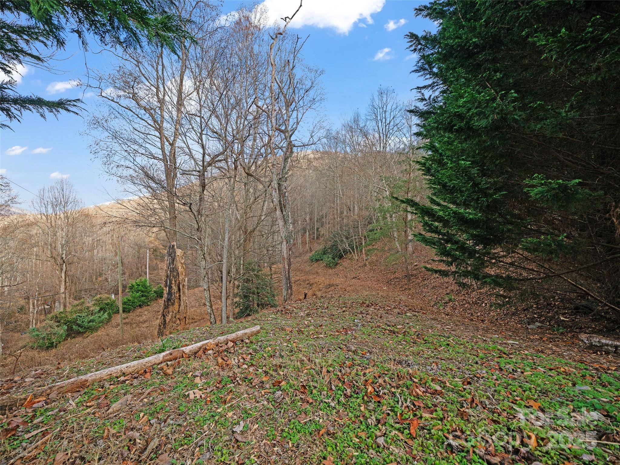 99999 Flora Rose TRL, Asheville, NC 28803