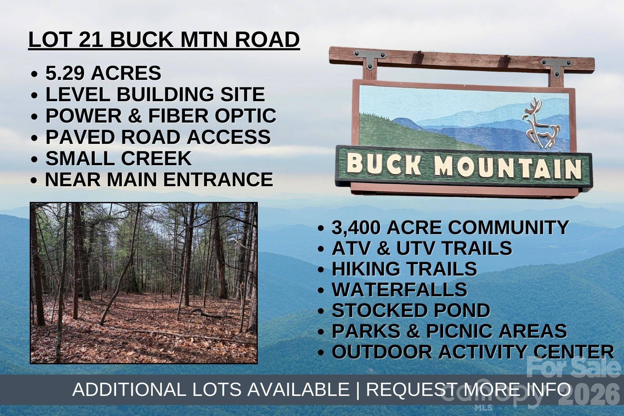 TBD Buck Mountain RD #21, Purlear, NC 28665
