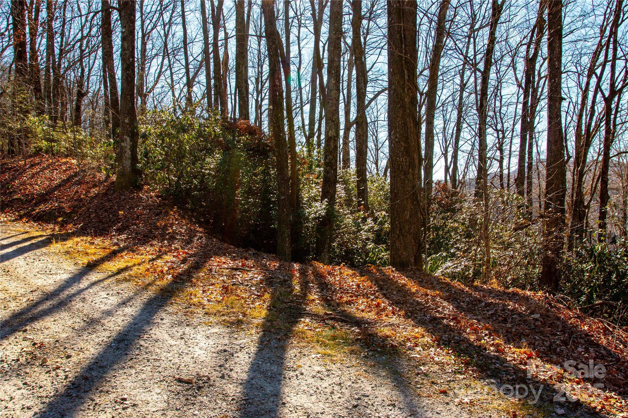 Lot 18 Joshua RD, Rosman, NC 28772
