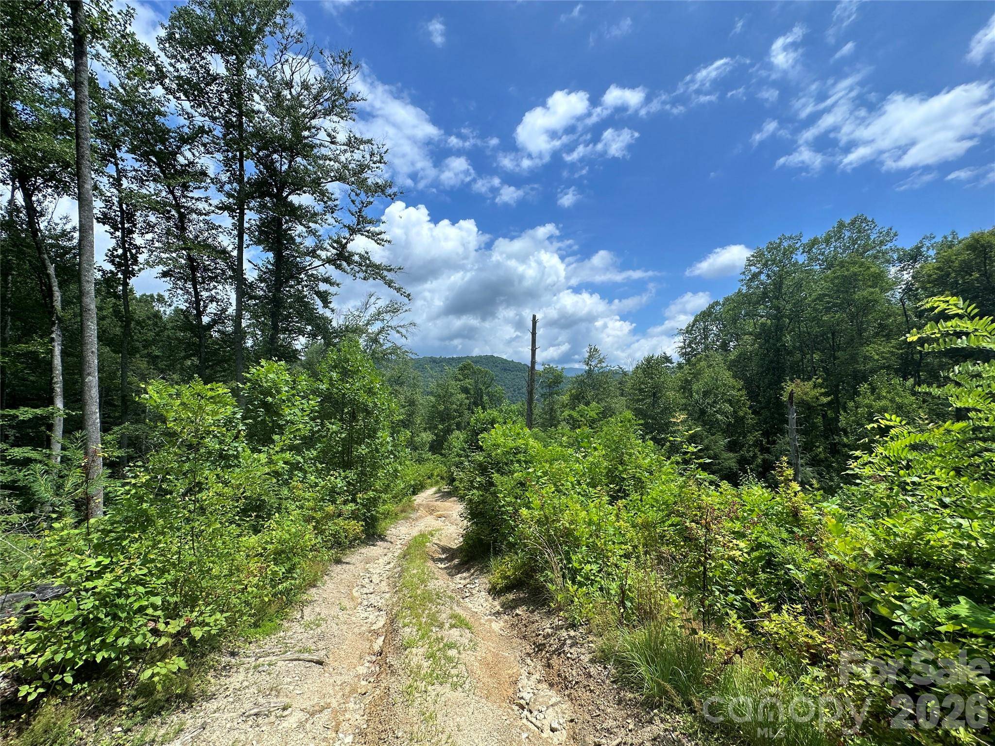 TBD NC Highway 194 None S, Sugar Grove, NC 28679