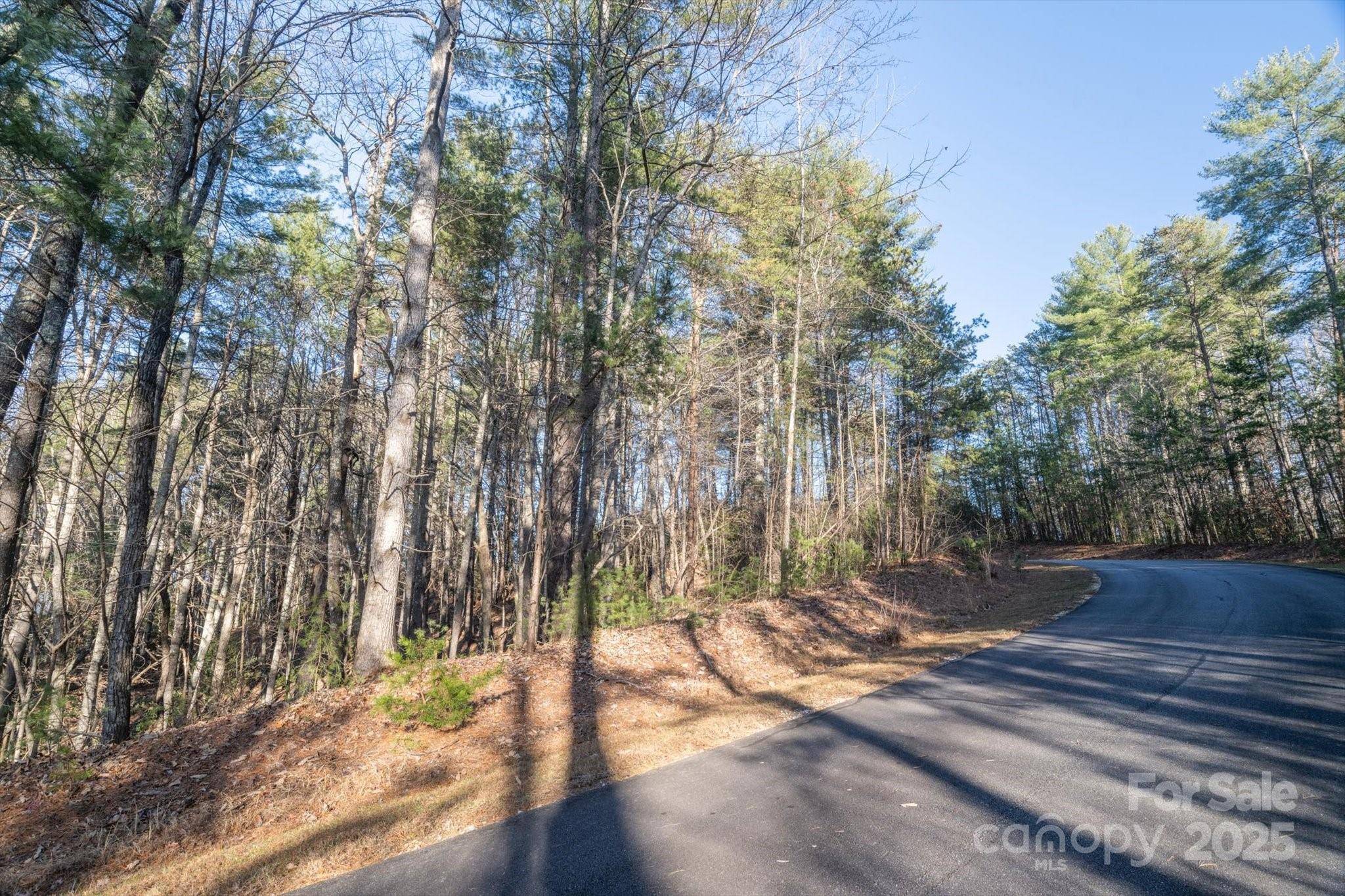 49 Lake James RD, Marion, NC 28752