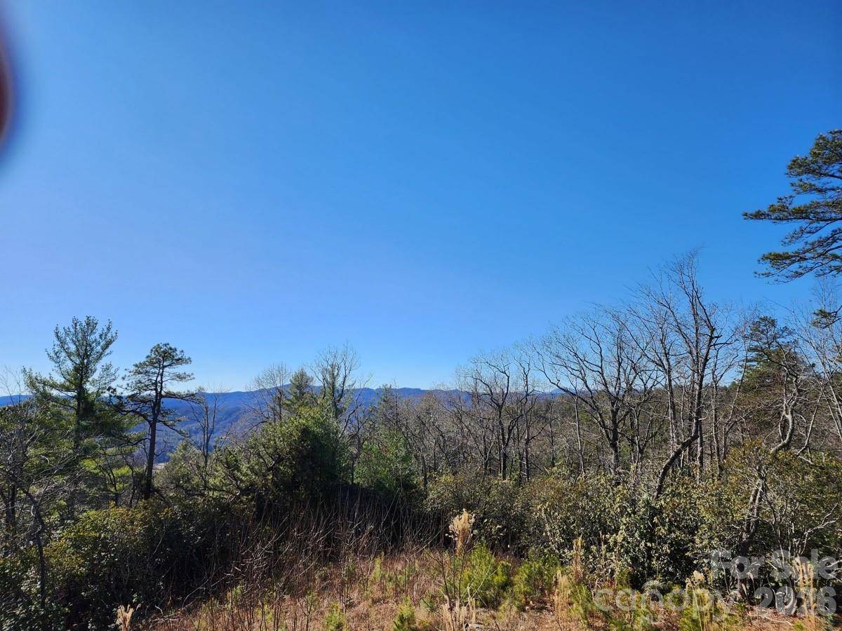 9999 Bulling Creek RD, Penrose, NC 28766