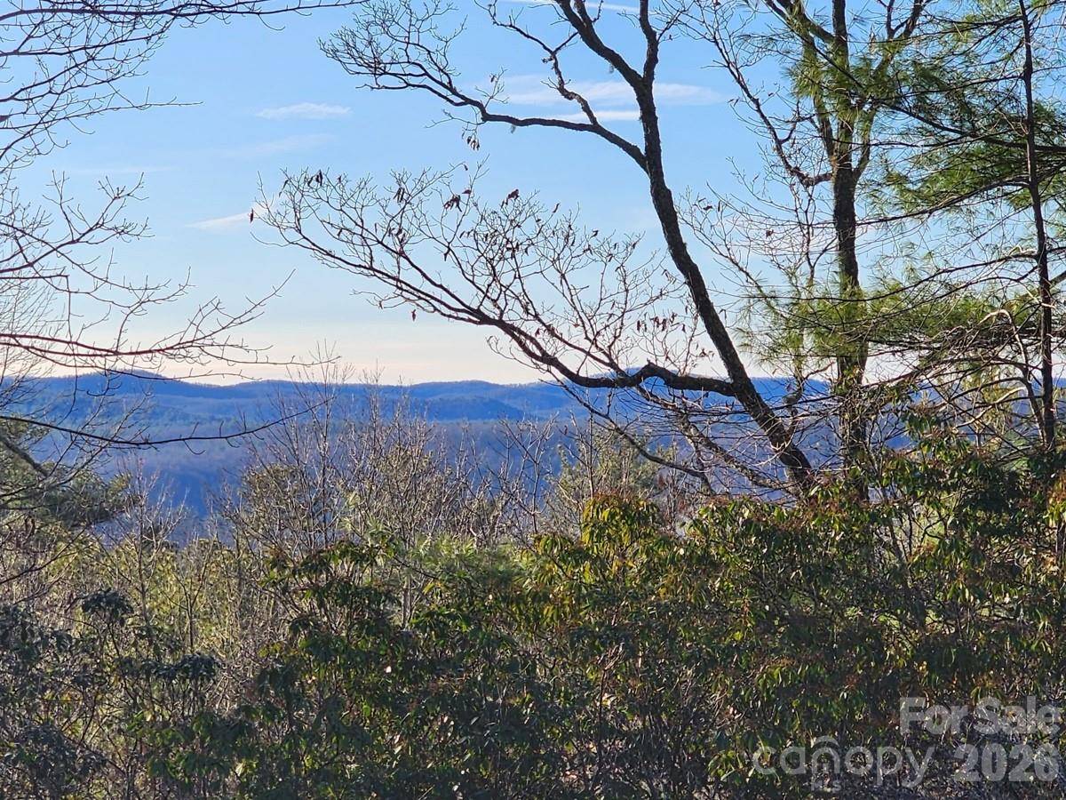 9999 Bulling Creek RD, Penrose, NC 28766