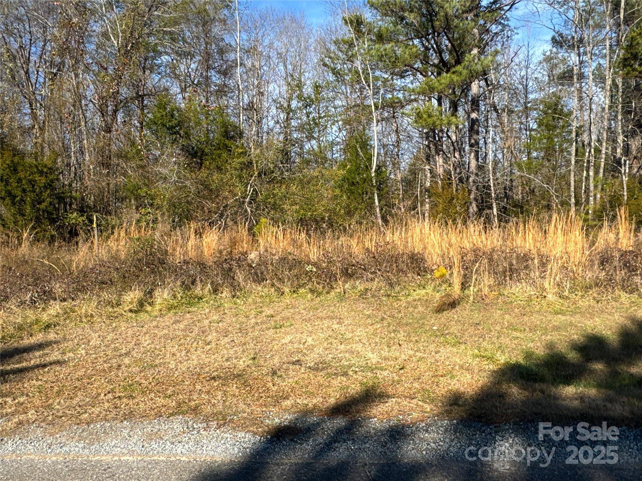 00 Ellis Ferry RD, Shelby, NC 28152