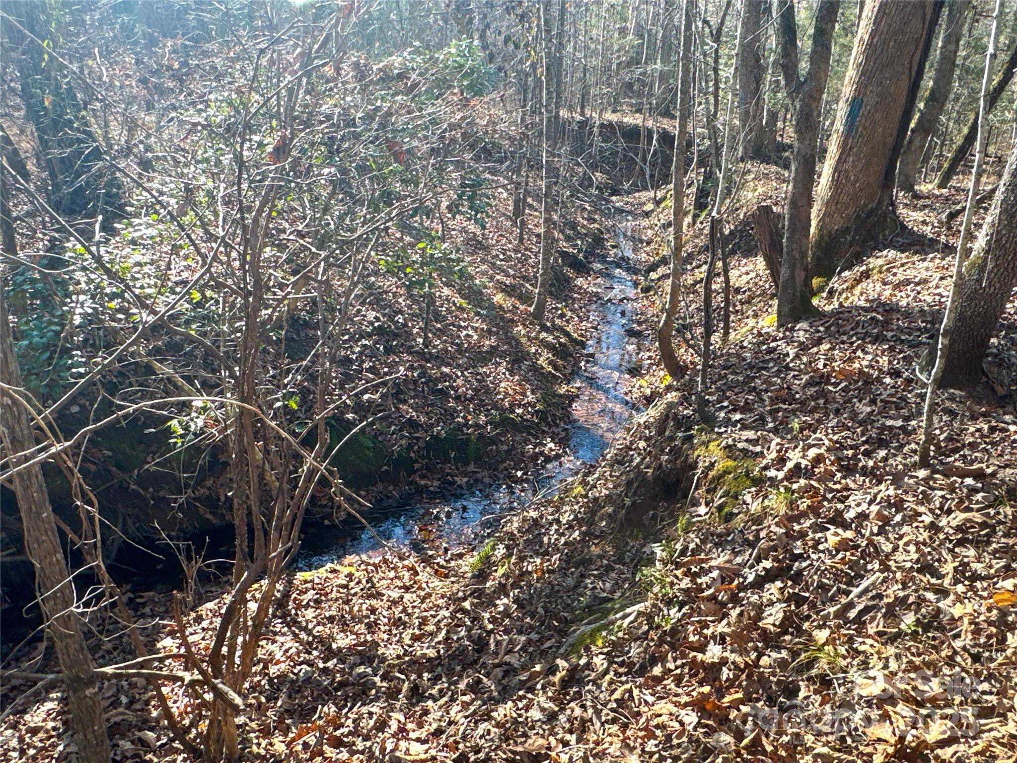 00 Ellis Ferry RD, Shelby, NC 28152