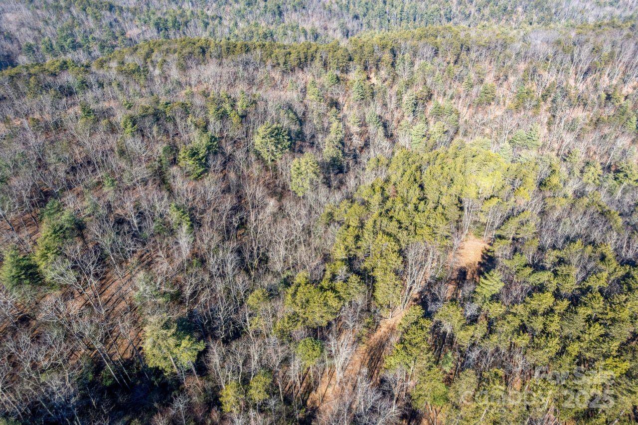 0 SASSAFRAS LN, Connelly Springs, NC 28612