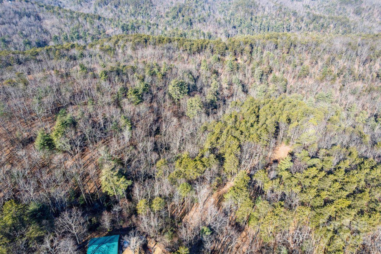 0 SASSAFRAS LN, Connelly Springs, NC 28612