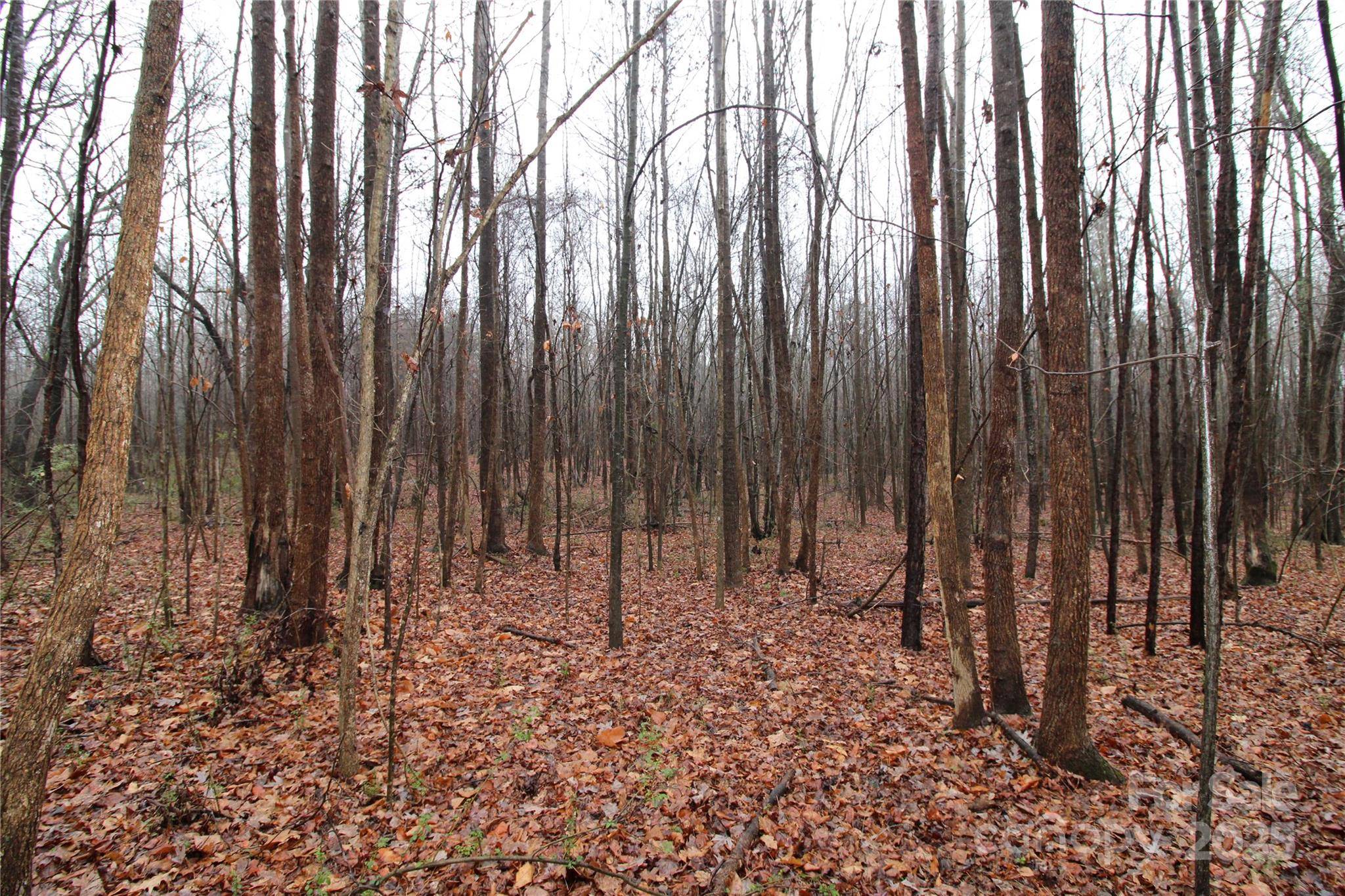 14.41+/-AC Eaker RD #LOT P, Bessemer City, NC 28016