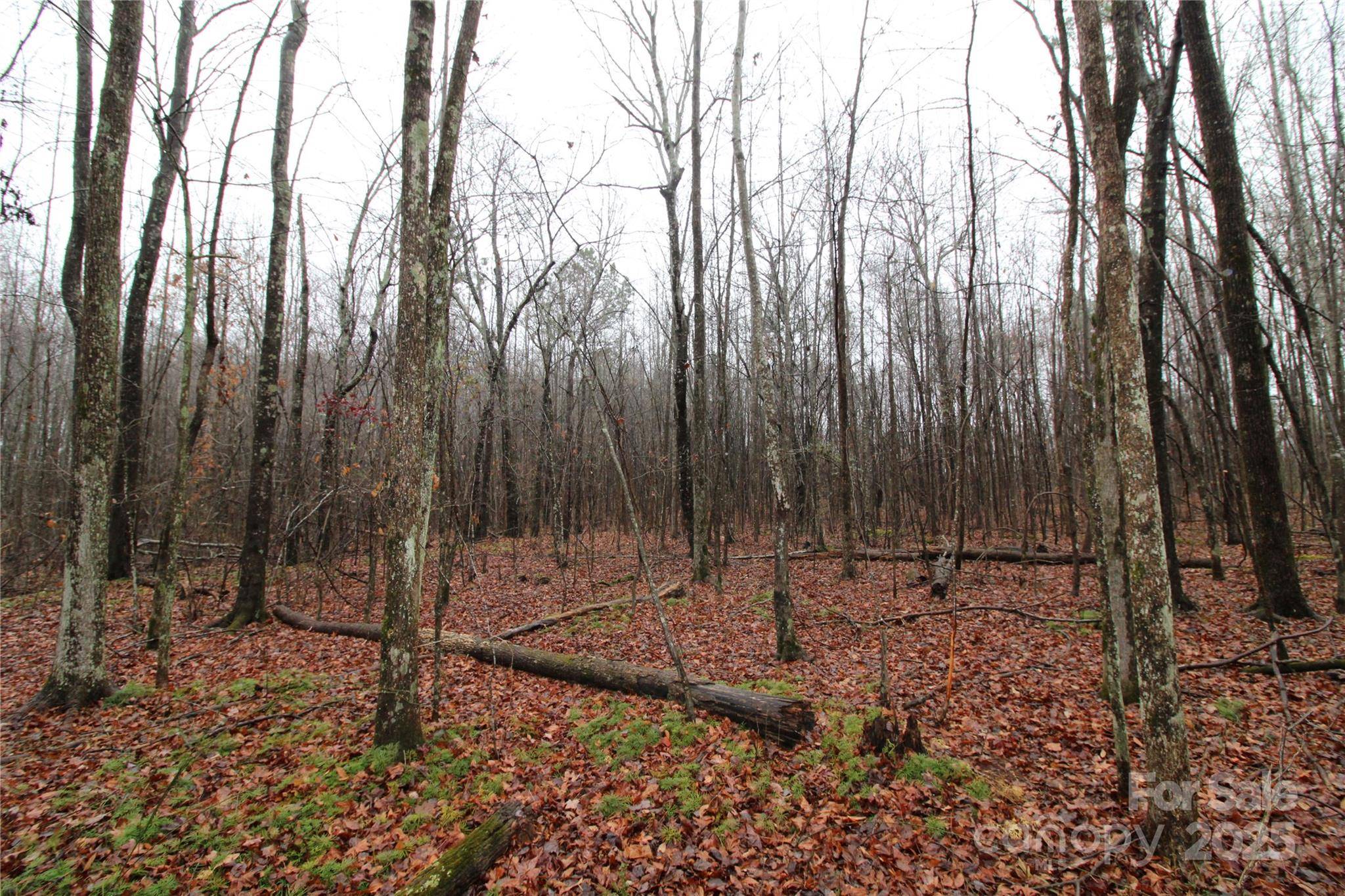 14.41+/-AC Eaker RD #LOT P, Bessemer City, NC 28016