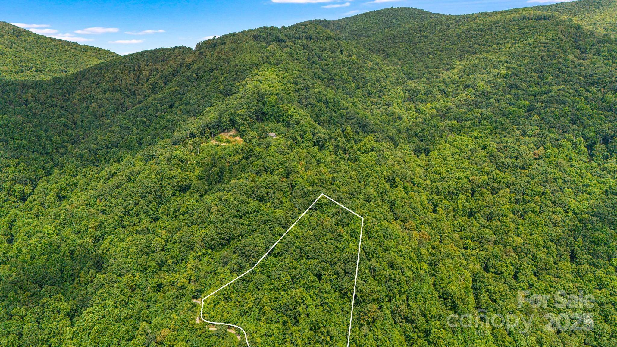 Lot 21 Cat Pen Branch RD, Hot Springs, NC 28743