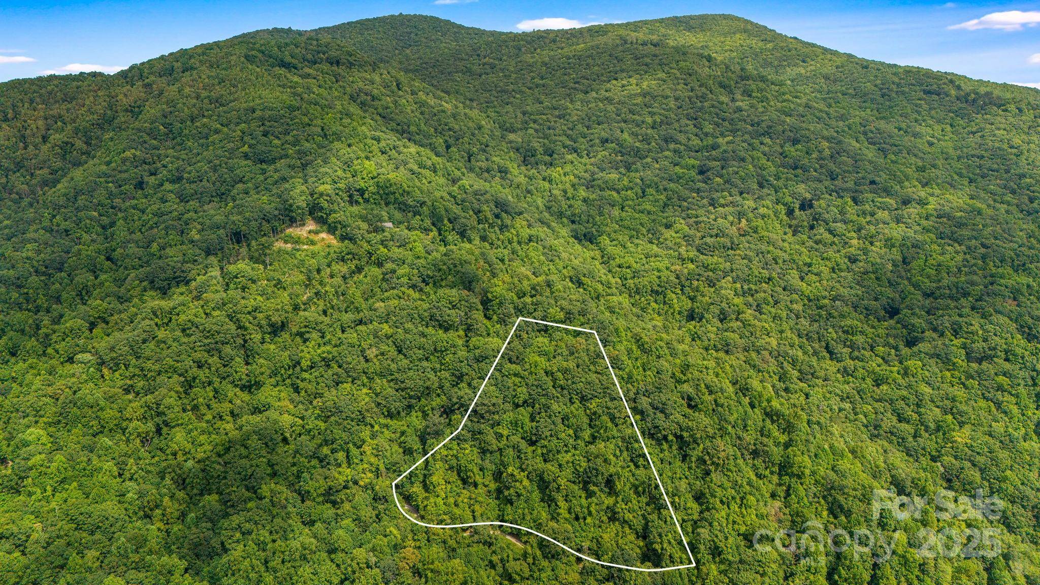 Lot 21 Cat Pen Branch RD, Hot Springs, NC 28743