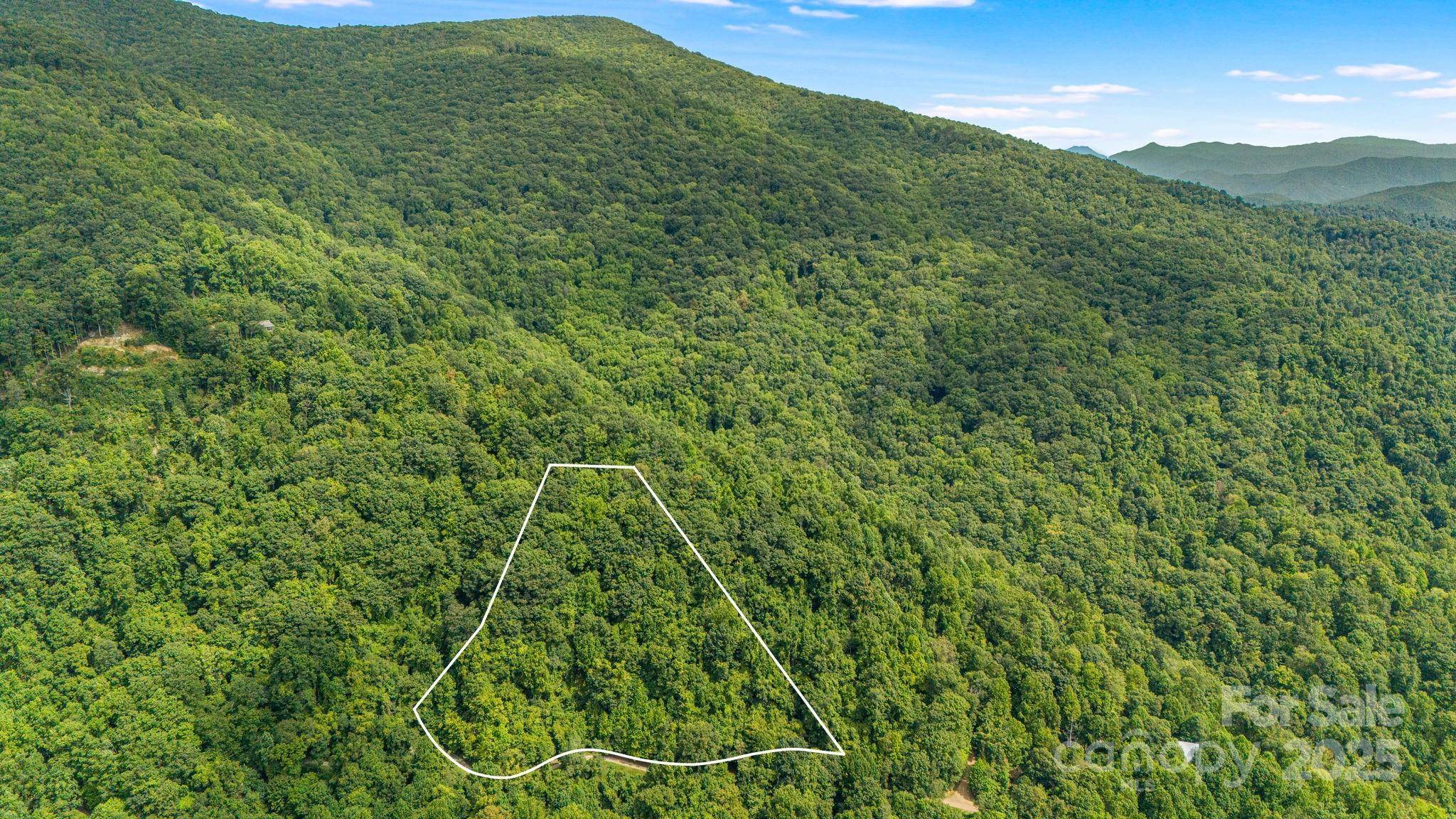 Lot 21 Cat Pen Branch RD, Hot Springs, NC 28743