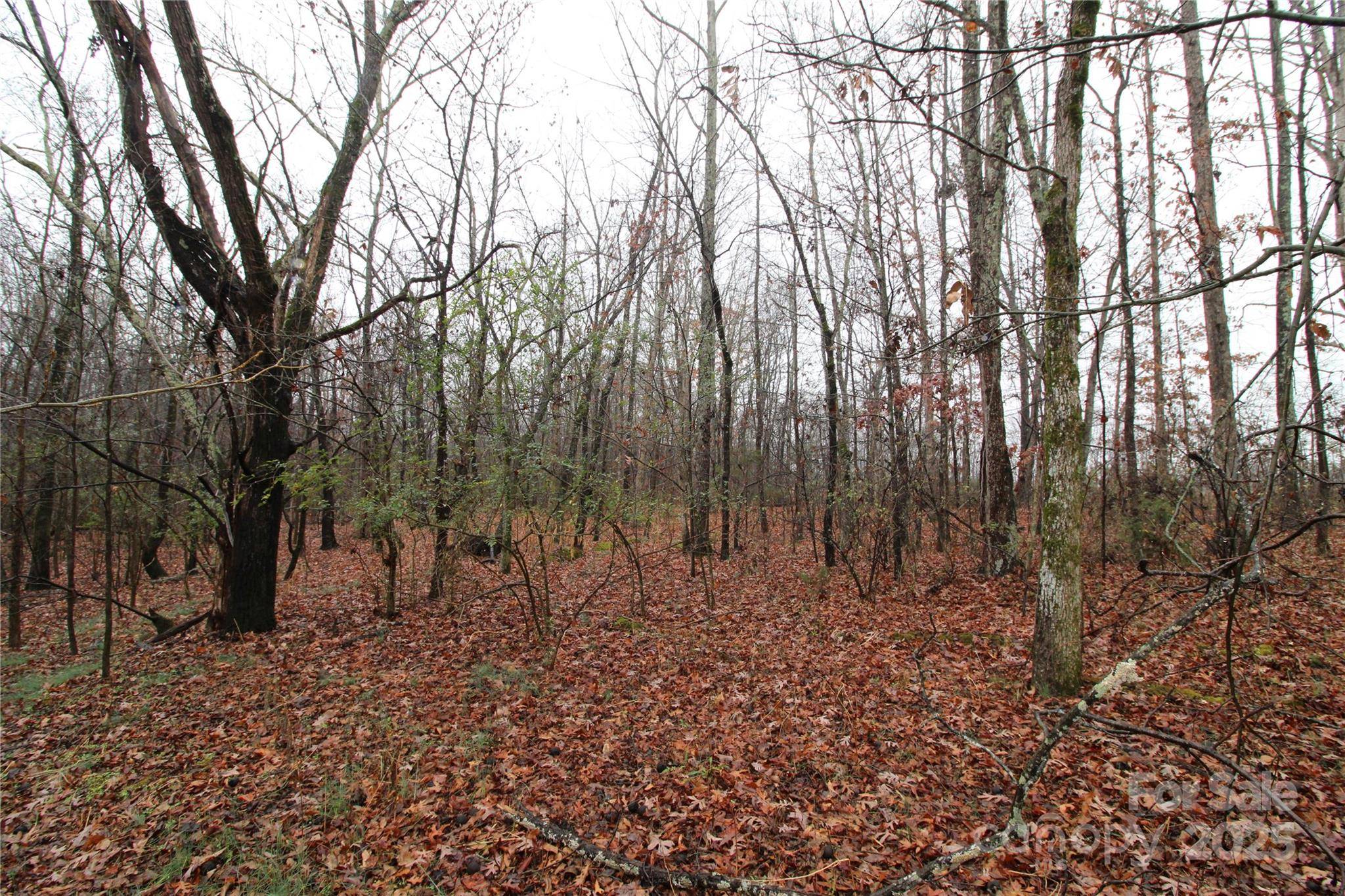 8.94+/-AC Bess RD #LOT L, Bessemer City, NC 28016
