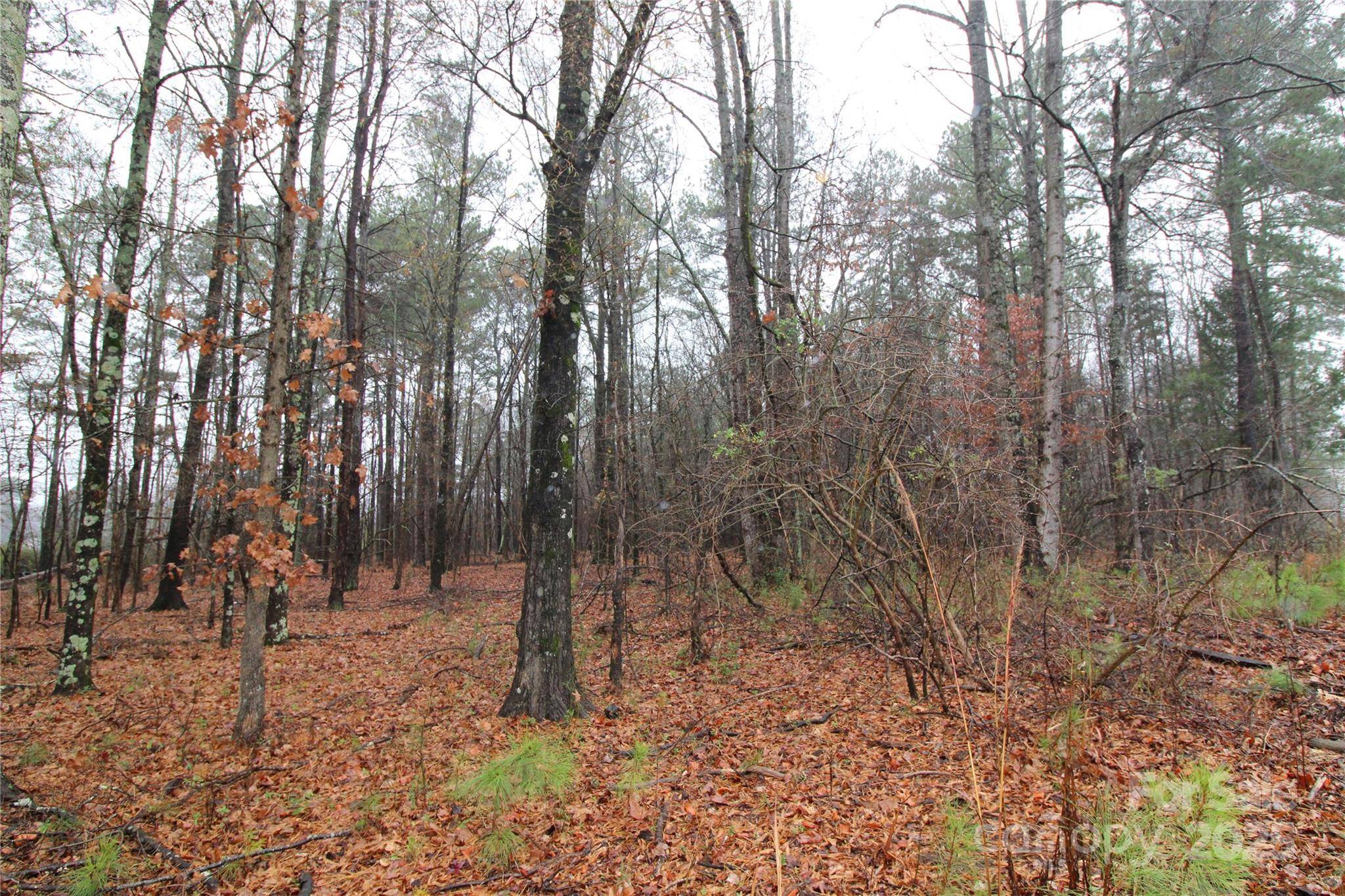 8.94+/-AC Bess RD #LOT L, Bessemer City, NC 28016