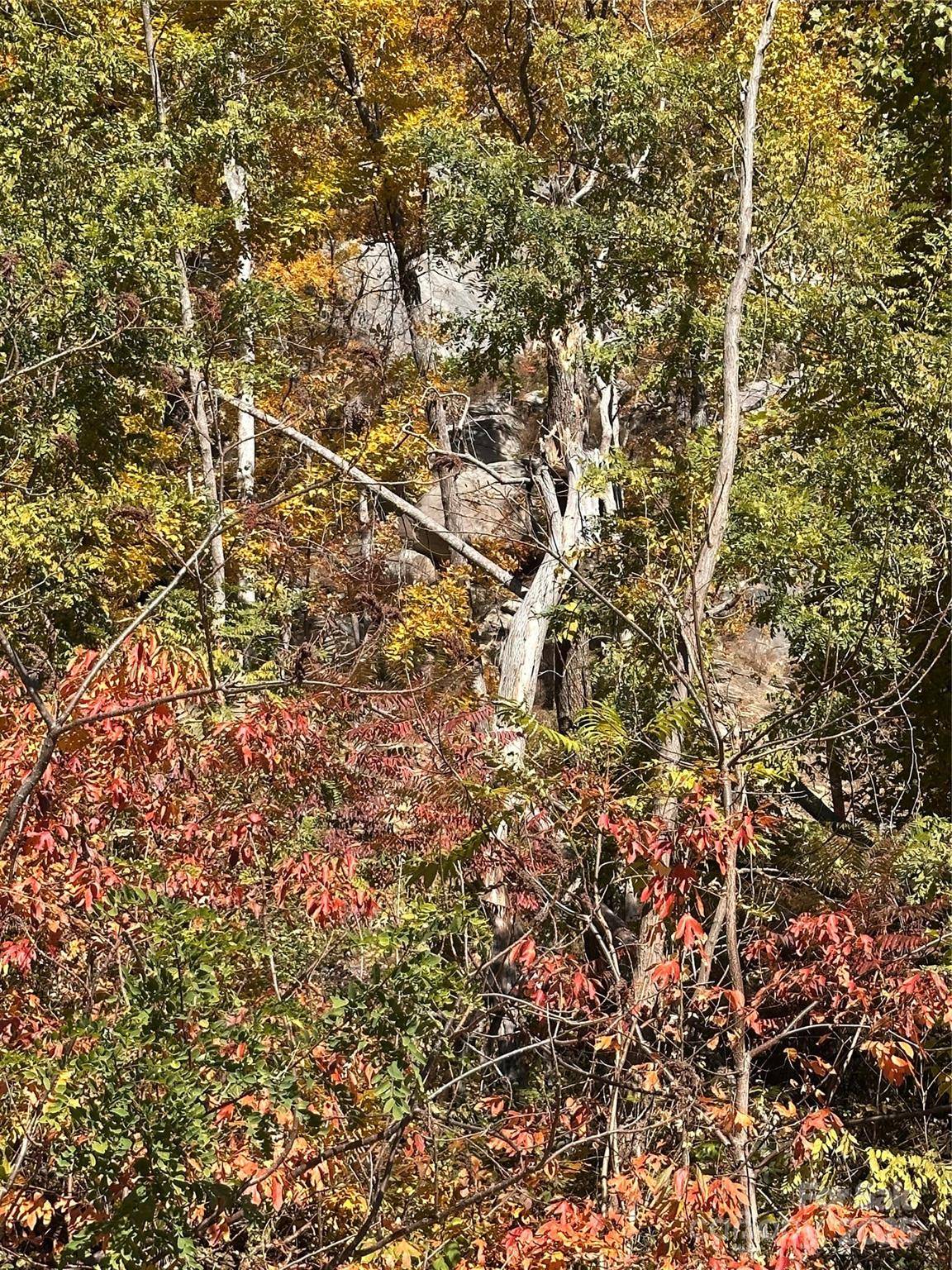 000 Cascada Vista DR, Chimney Rock, NC 28720