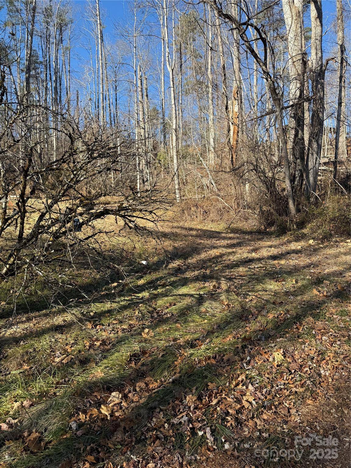 TBD George McKinney CIR, Spruce Pine, NC 28777