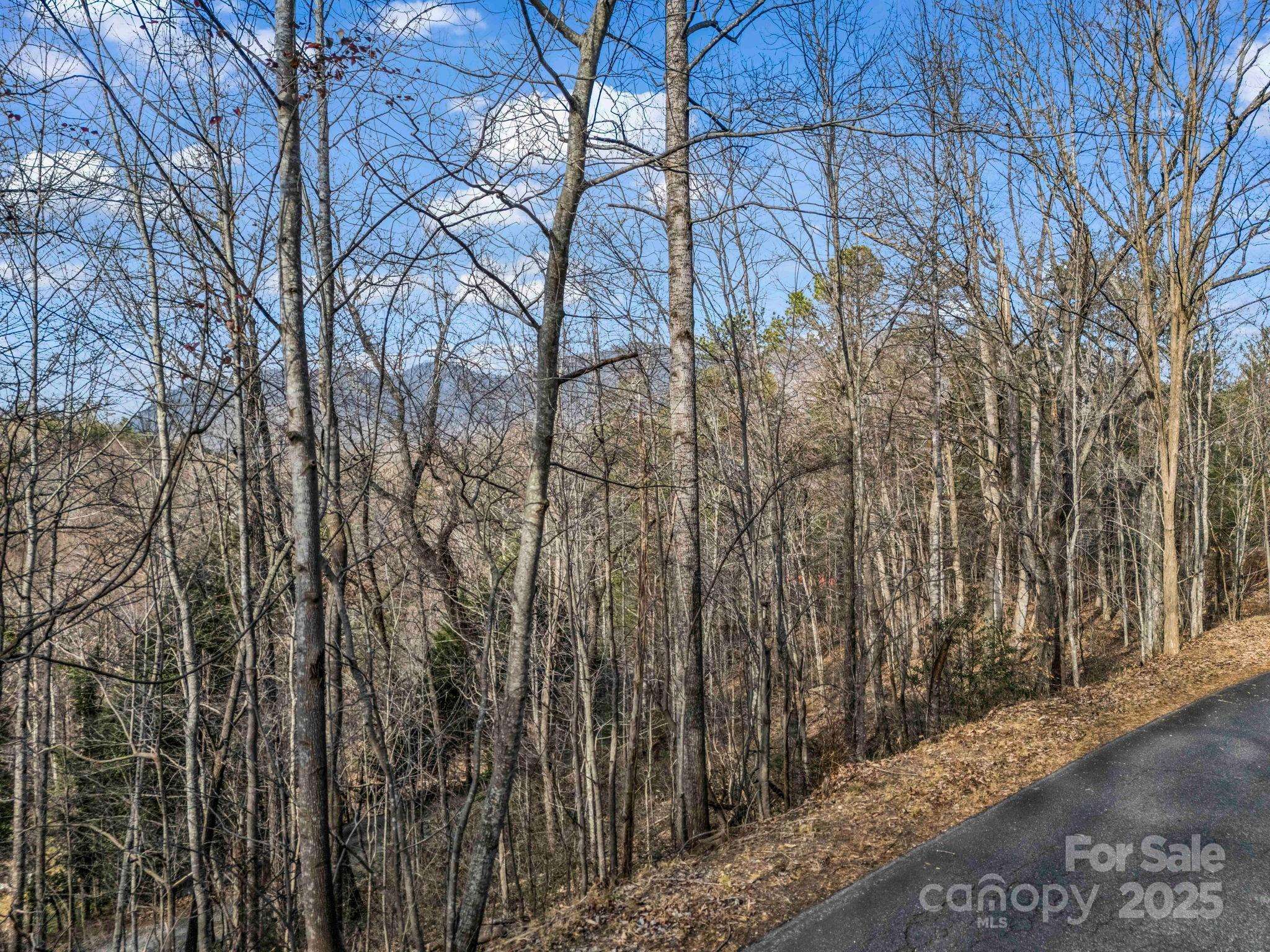 0000 Holmes RD, Lake Lure, NC 28746