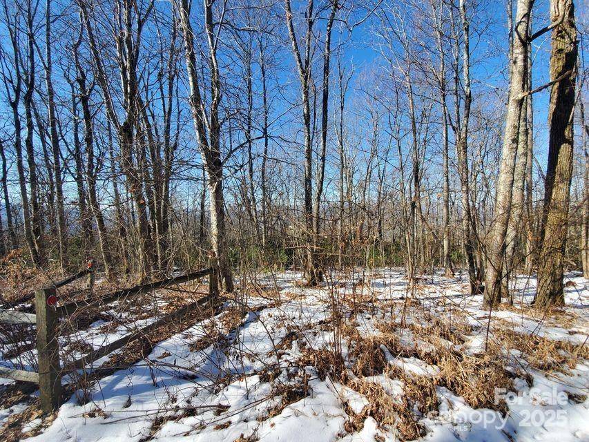 TBD Henredon RD, Spruce Pine, NC 28777