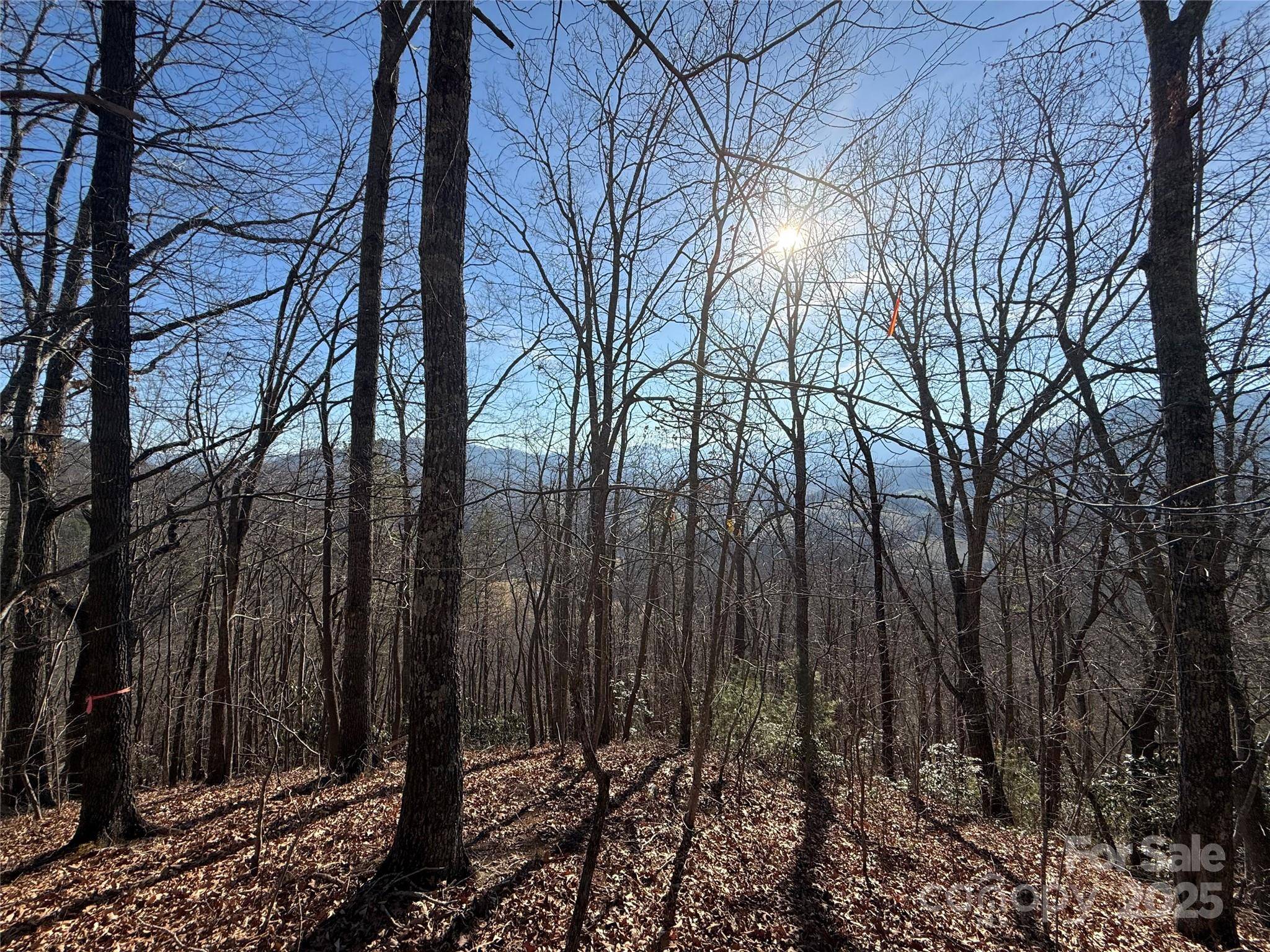 12,13,27 Brer Rabbit TRL #12,13,27, Waynesville, NC 28785